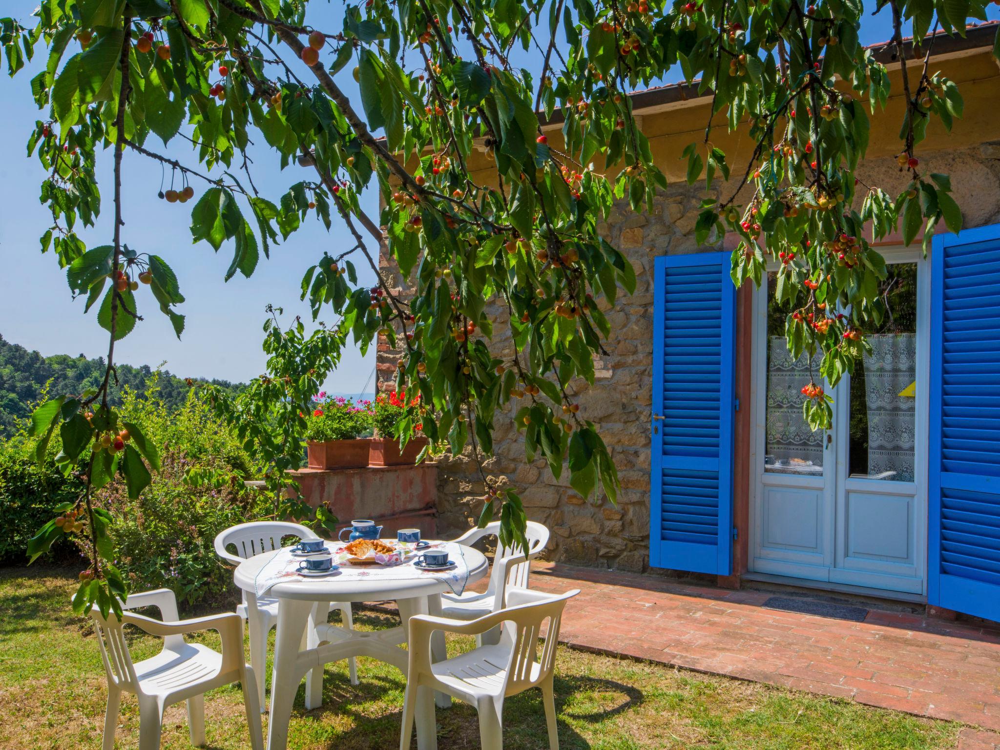 Foto 1 - Appartamento con 2 camere da letto a Lamporecchio con piscina e giardino