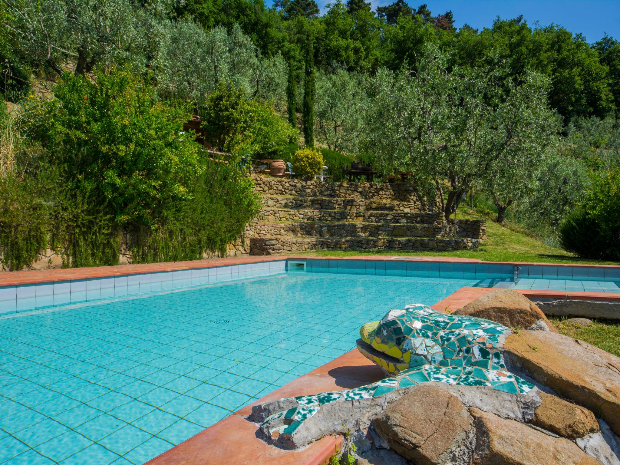 Photo 30 - 3 bedroom Apartment in Lamporecchio with swimming pool and garden