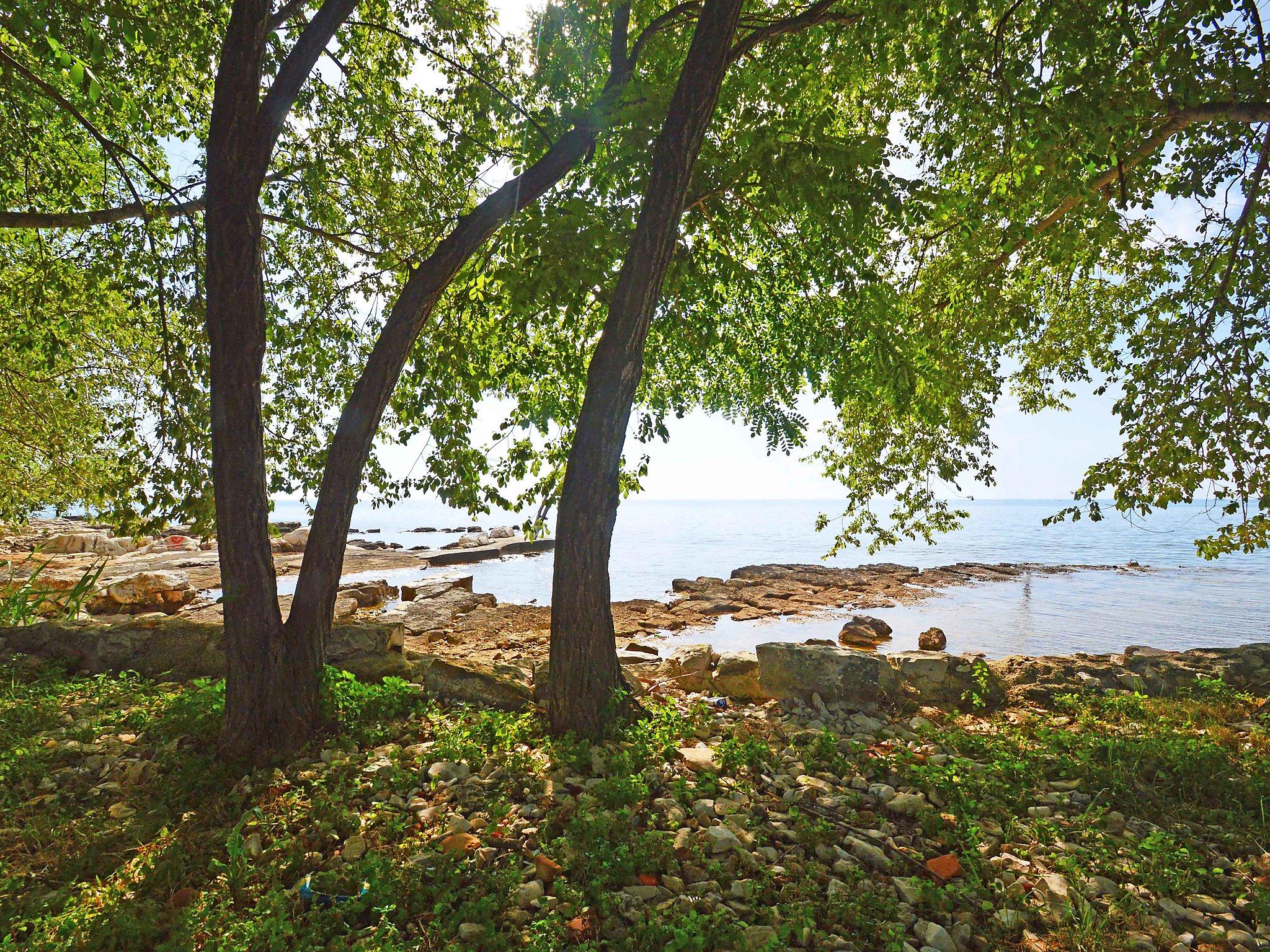 Photo 3 - House in Umag with garden