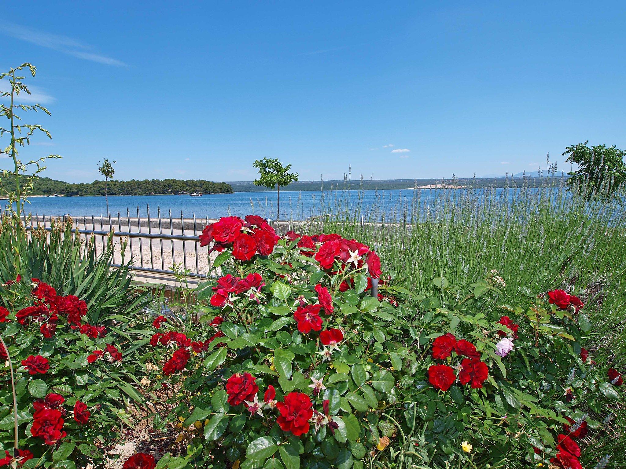 Photo 2 - 2 bedroom Apartment in Sibenik with garden and sea view