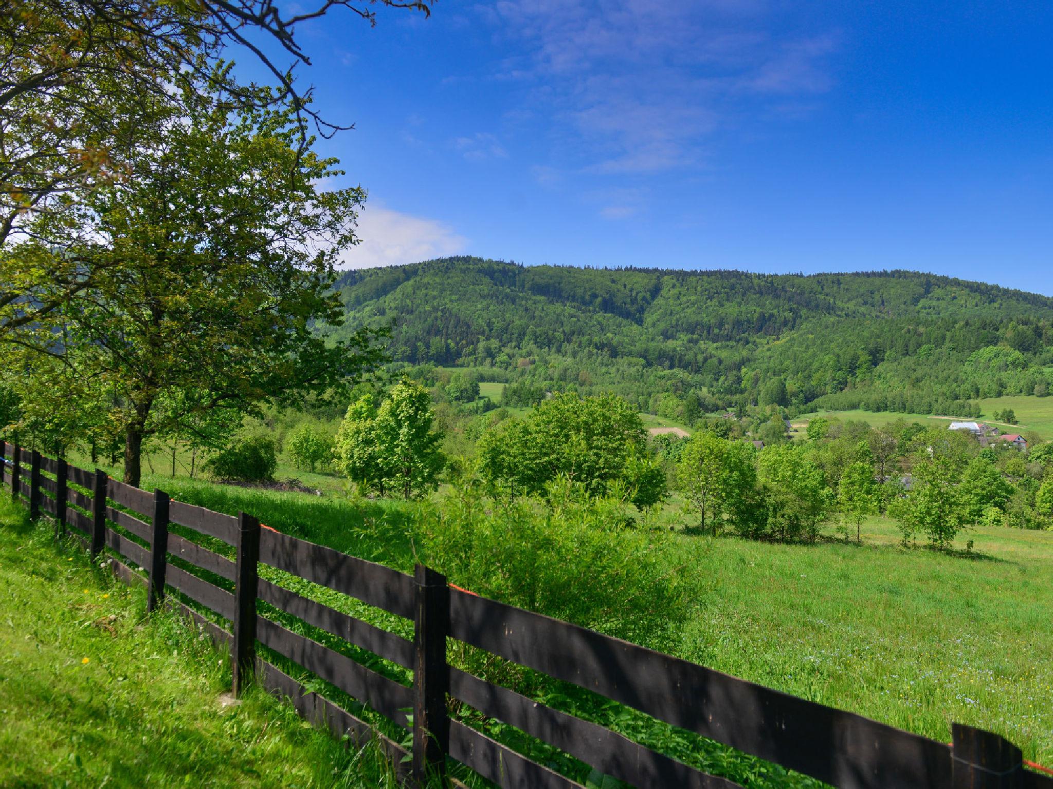 Photo 29 - 3 bedroom House in Andrychów with private pool and mountain view