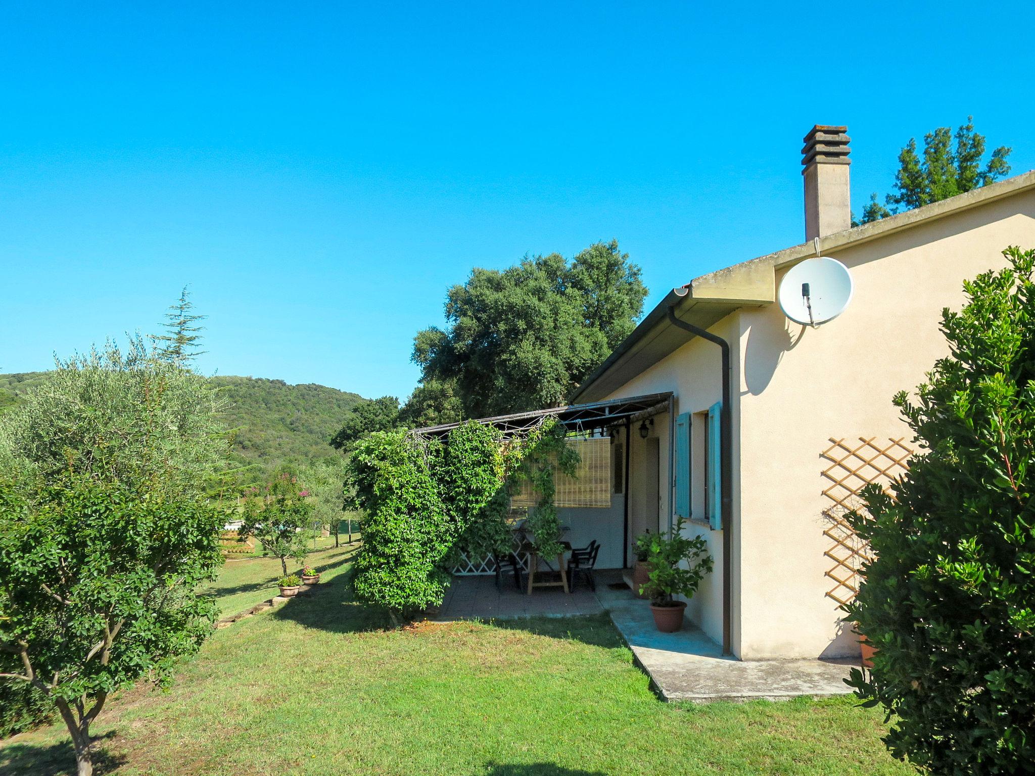 Photo 26 - Maison de 1 chambre à Roccastrada avec piscine et jardin