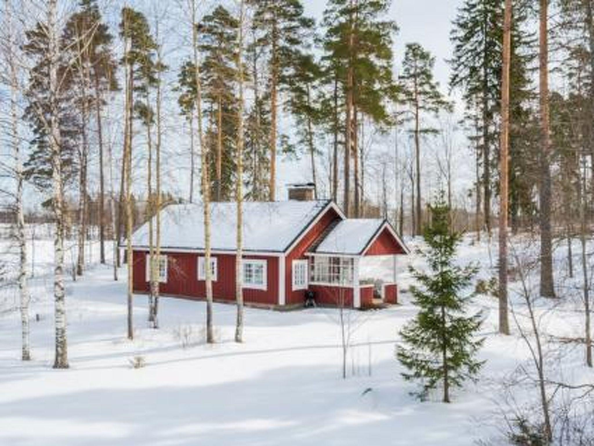 Photo 39 - Maison de 2 chambres à Somero avec sauna