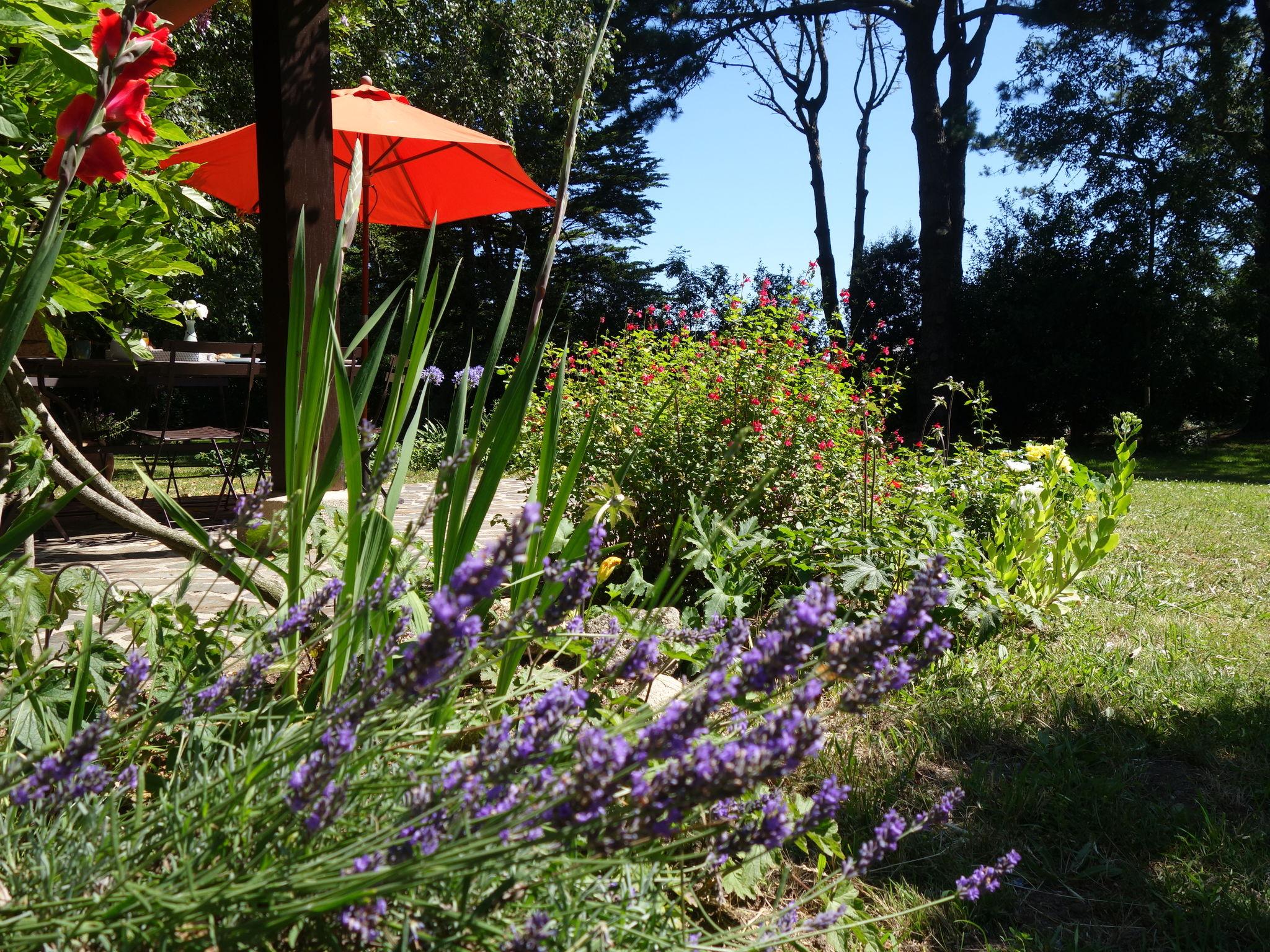 Foto 44 - Casa con 4 camere da letto a Plouharnel con giardino e terrazza