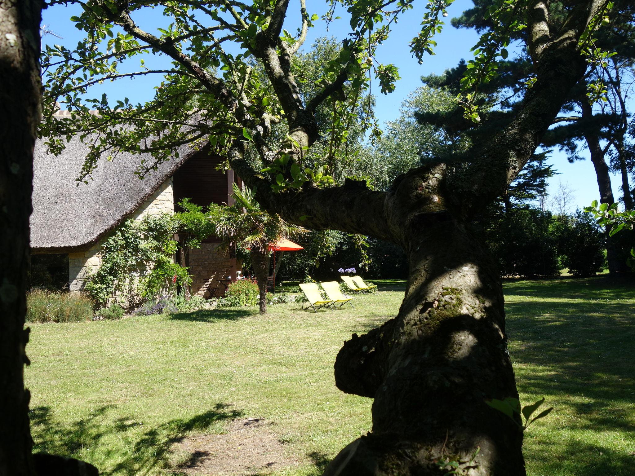 Foto 46 - Casa de 4 quartos em Plouharnel com jardim e terraço