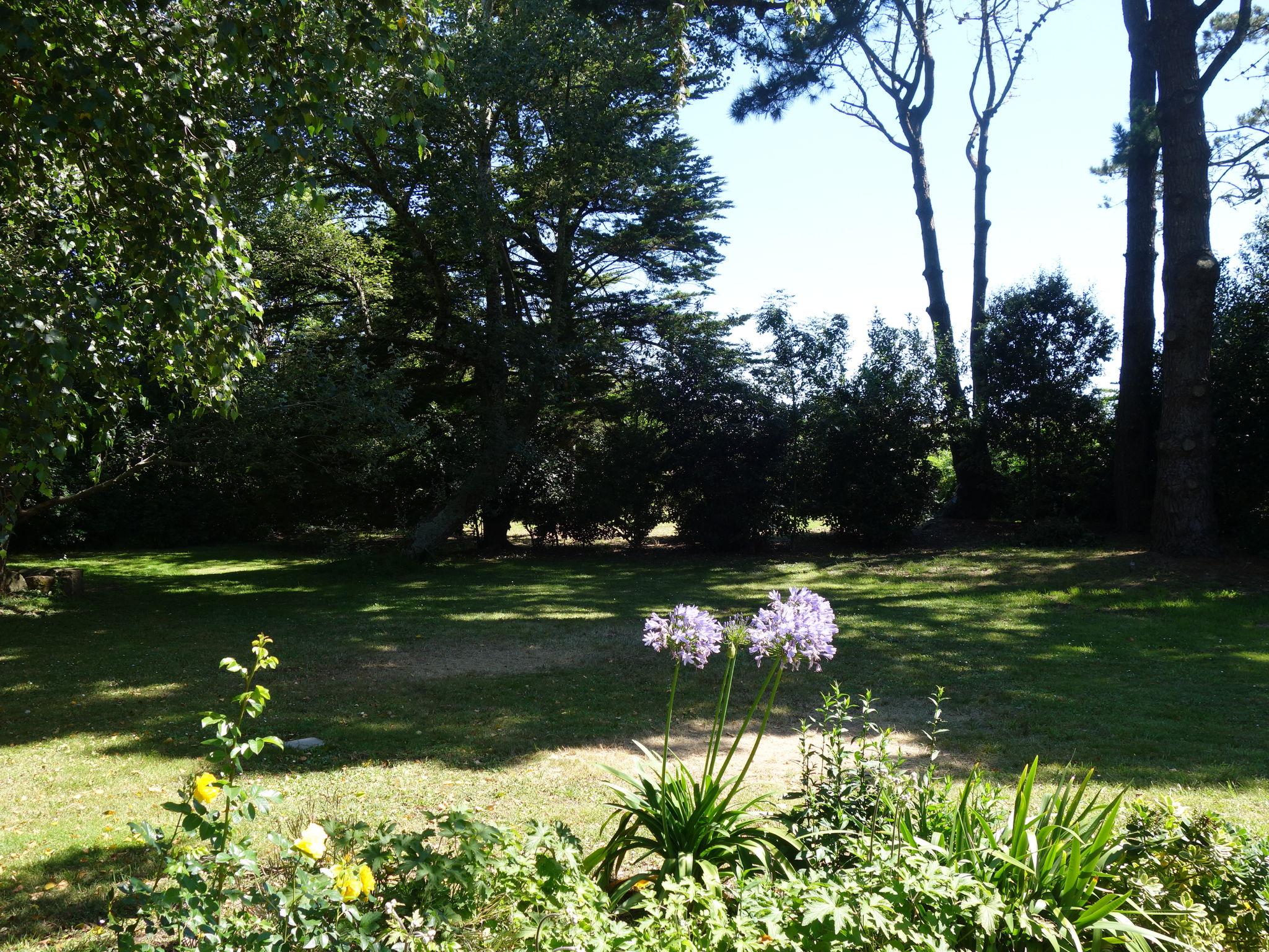 Foto 45 - Casa con 4 camere da letto a Plouharnel con giardino e terrazza