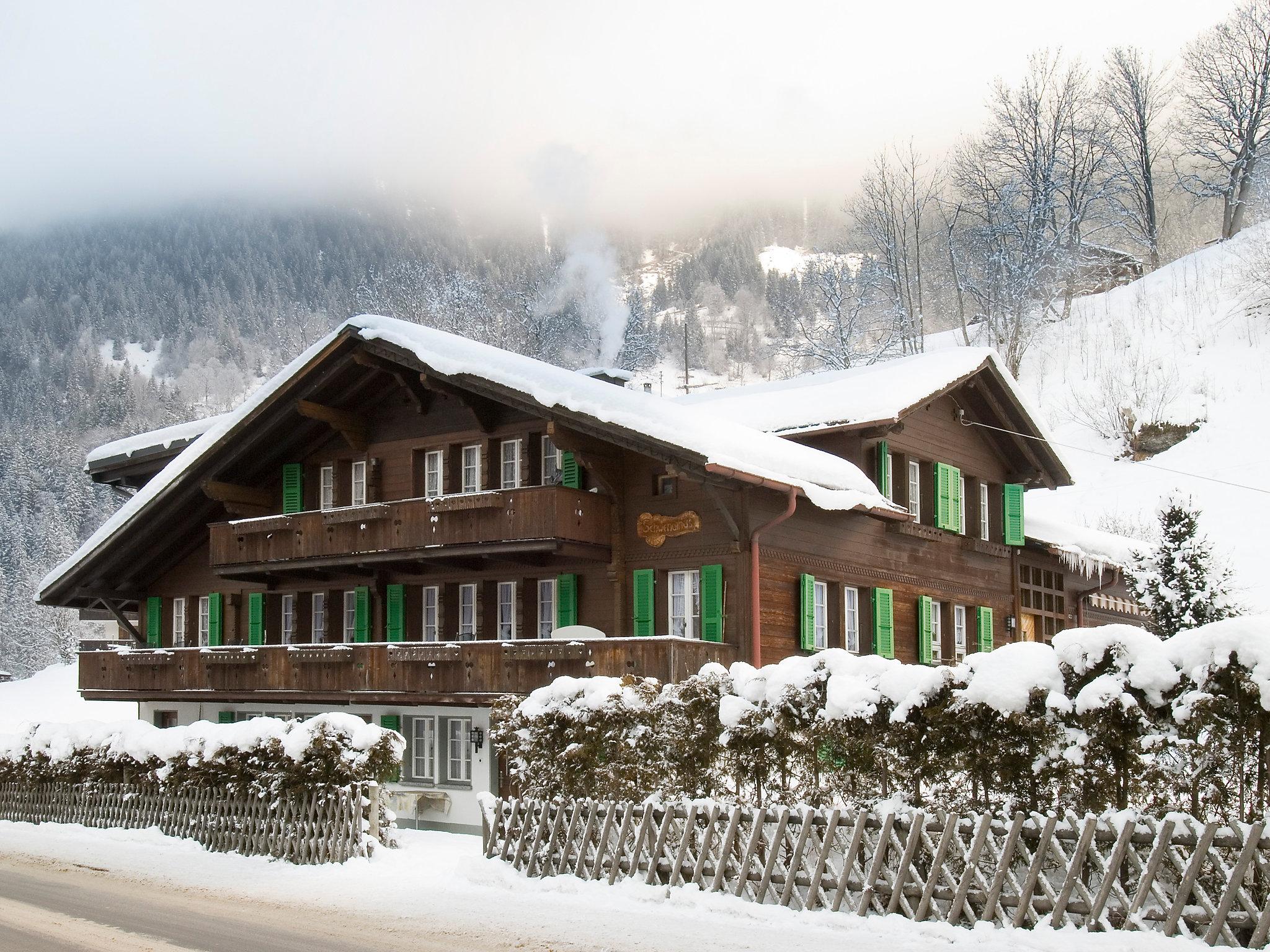 Foto 11 - Apartamento de 2 habitaciones en Grindelwald con jardín y vistas a la montaña
