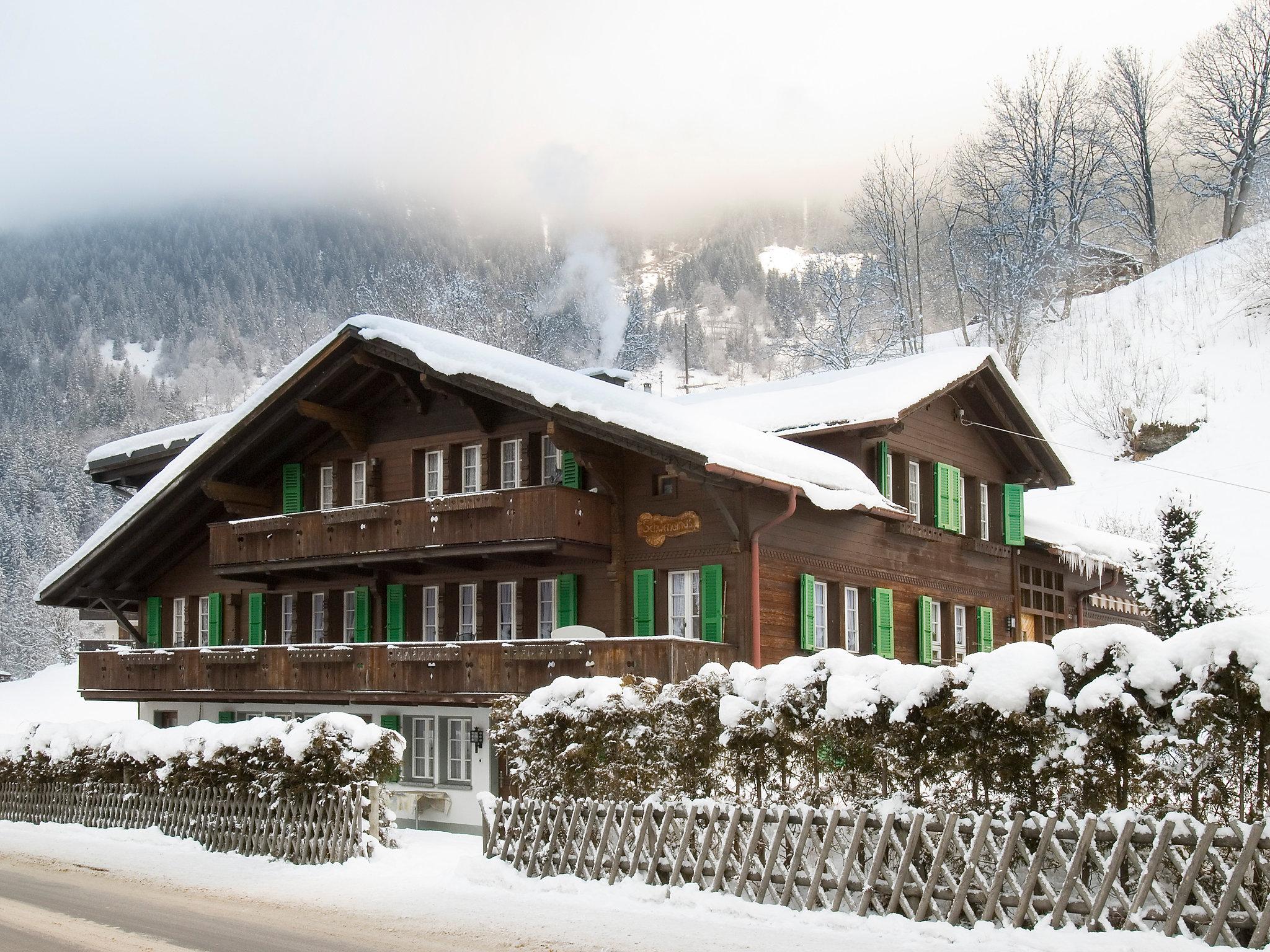 Photo 11 - Appartement en Grindelwald avec jardin