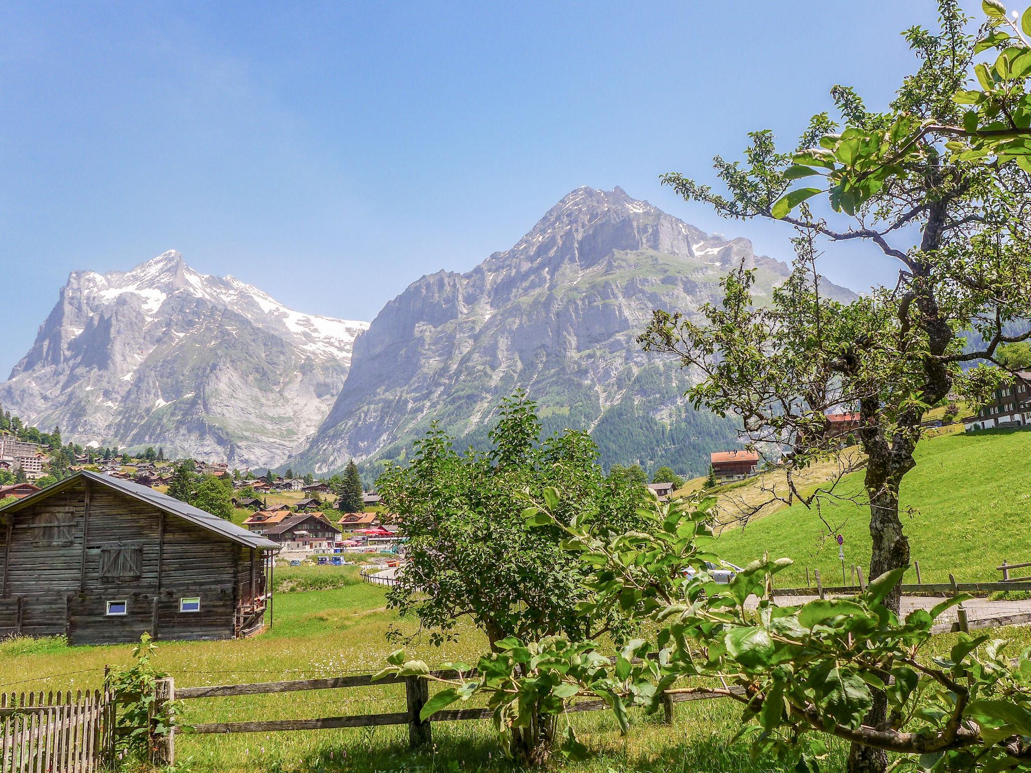 Foto 9 - Appartamento a Grindelwald con giardino