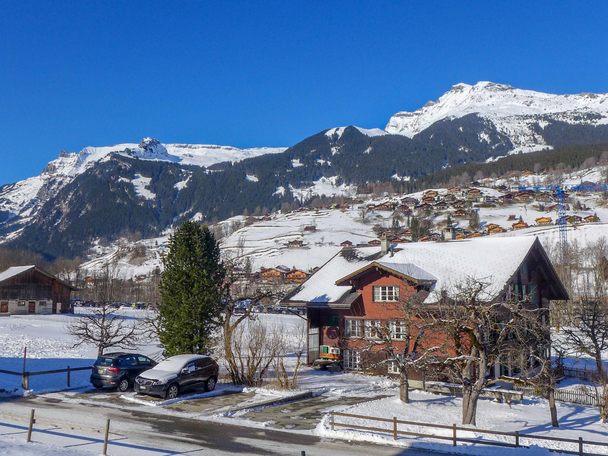 Foto 12 - Apartamento em Grindelwald com jardim e vista para a montanha