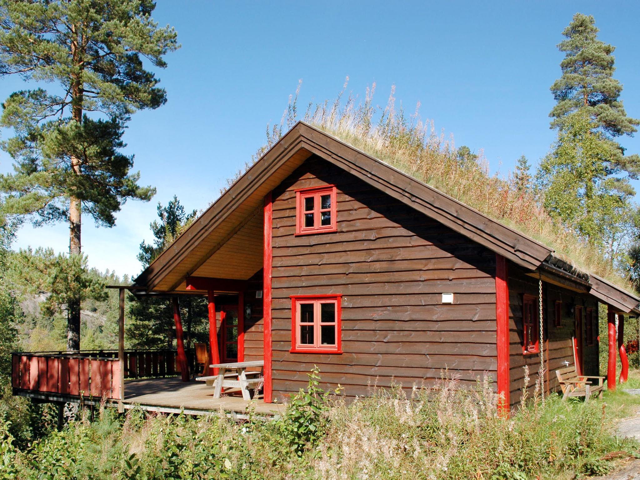 Foto 6 - Casa de 4 quartos em Nissedal com terraço e sauna