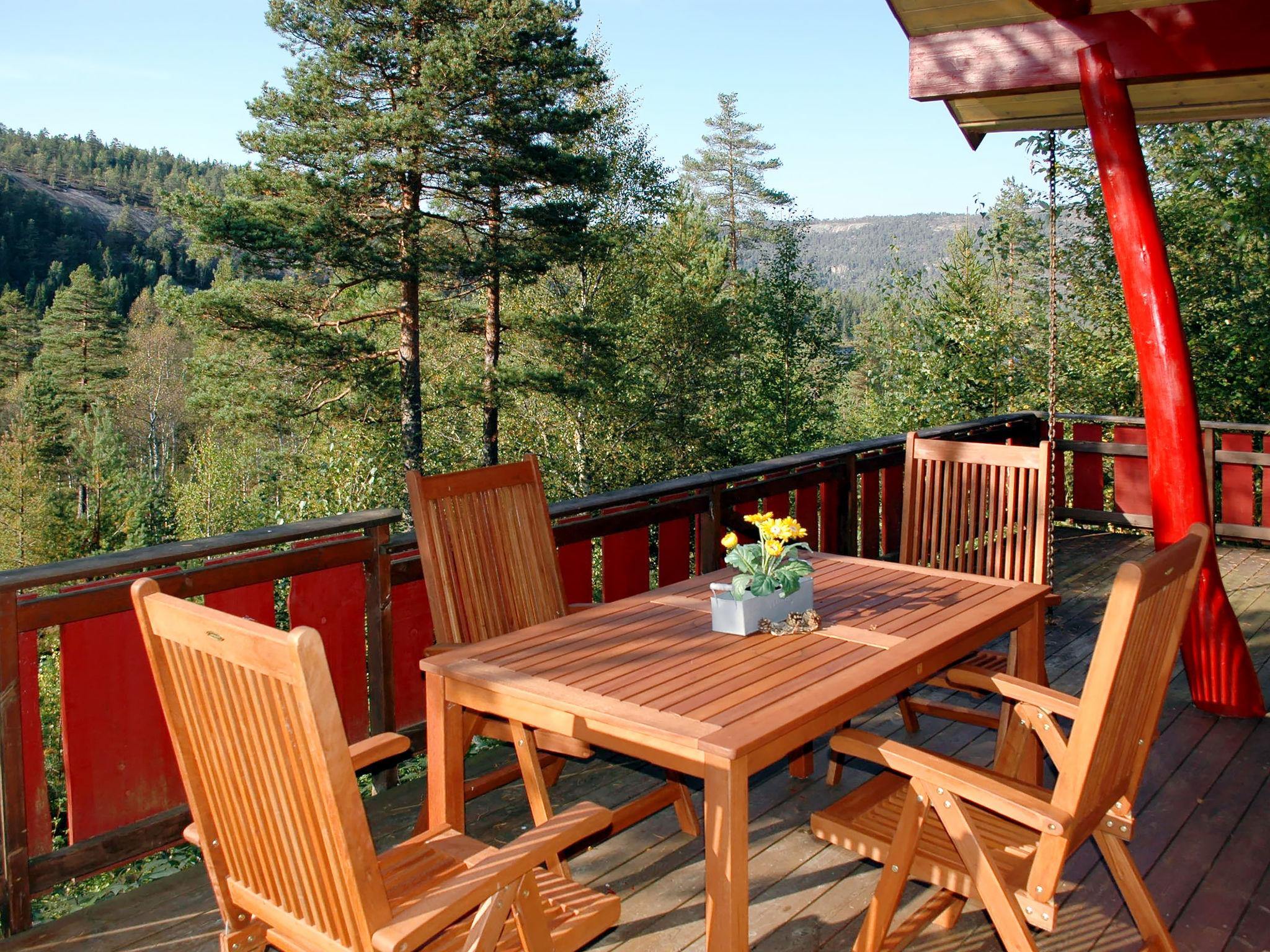 Photo 2 - Maison de 4 chambres à Nissedal avec terrasse et sauna