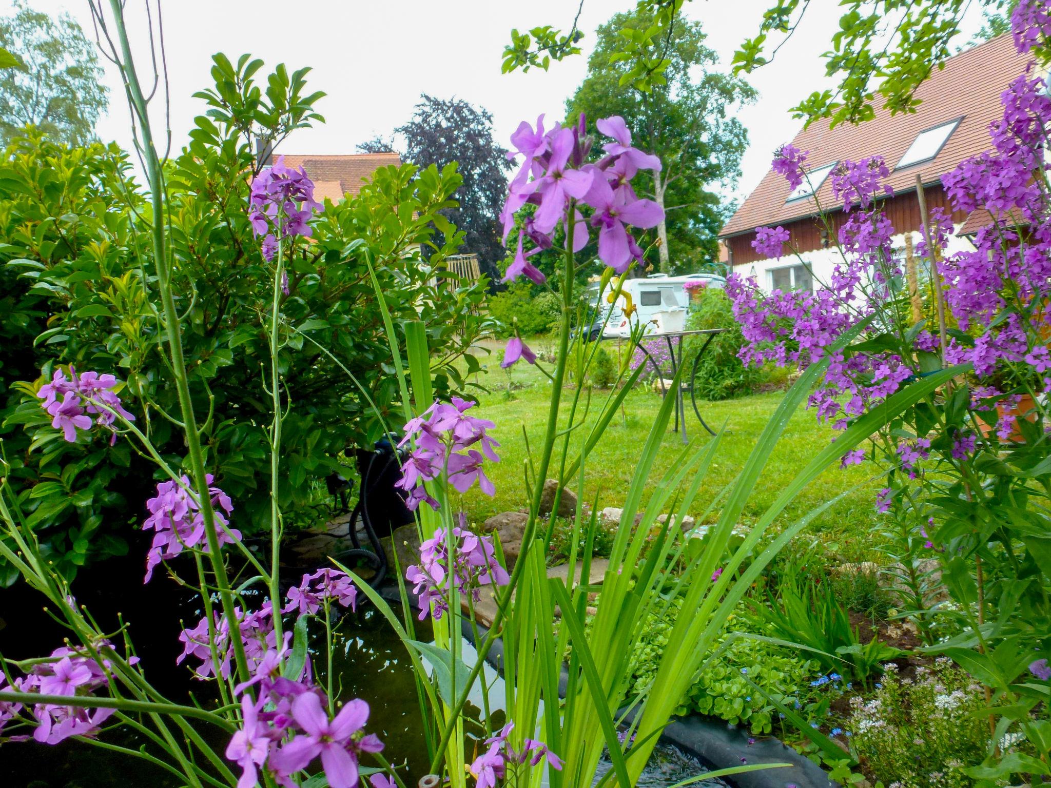 Foto 30 - Casa de 1 habitación en Hüfingen con jardín y vistas a la montaña