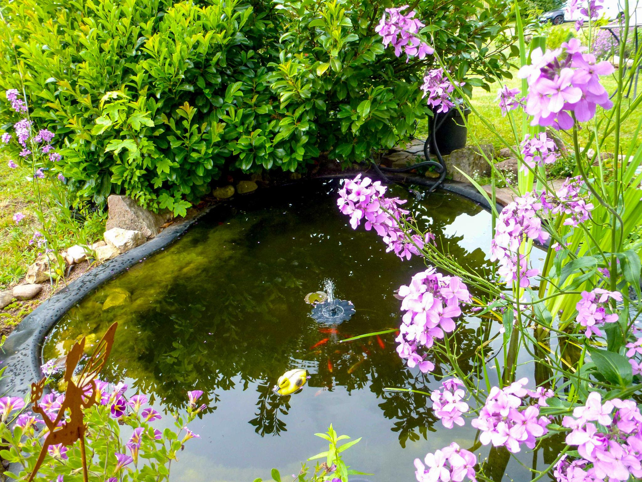 Photo 37 - Maison de 1 chambre à Hüfingen avec jardin et vues sur la montagne