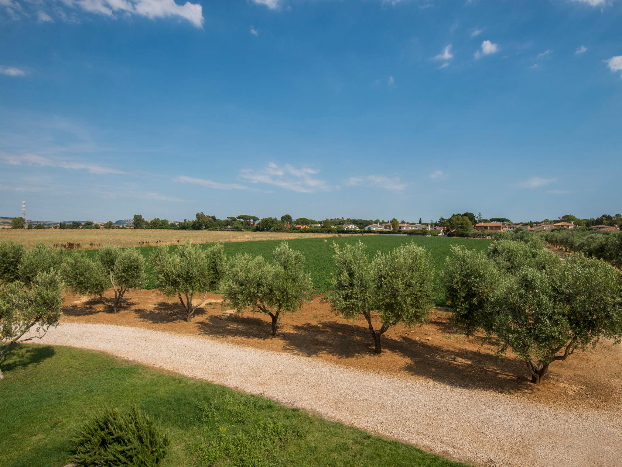 Foto 47 - Casa de 10 habitaciones en Tarquinia con piscina privada y vistas al mar