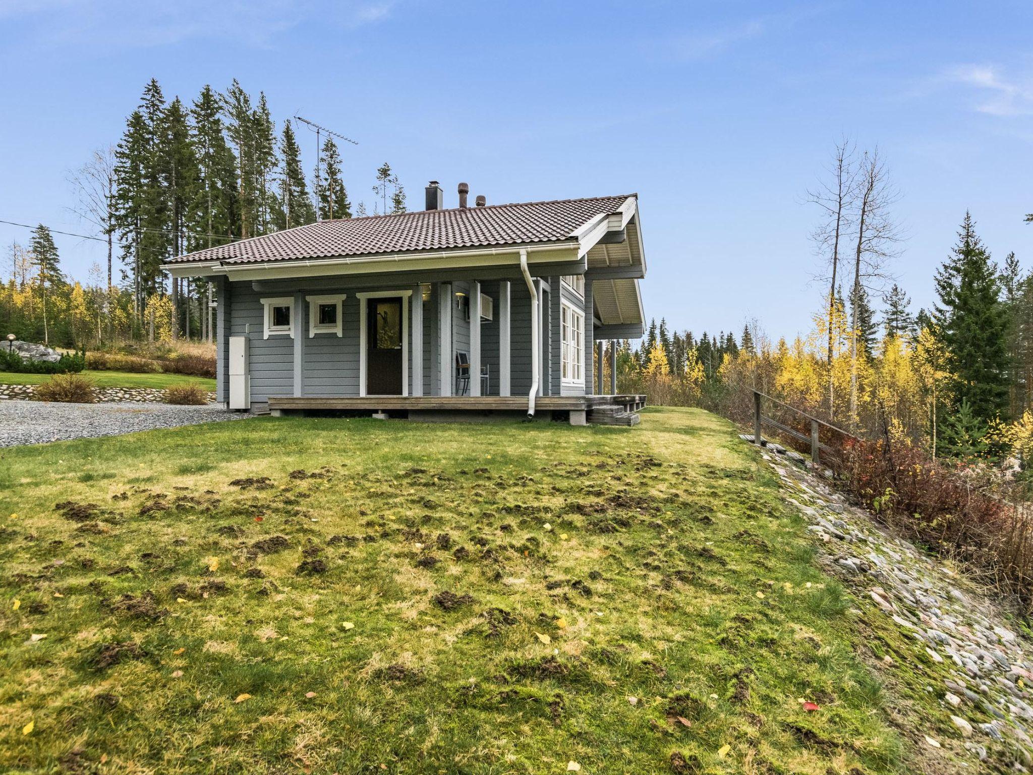 Photo 2 - Maison de 2 chambres à Heinävesi avec sauna