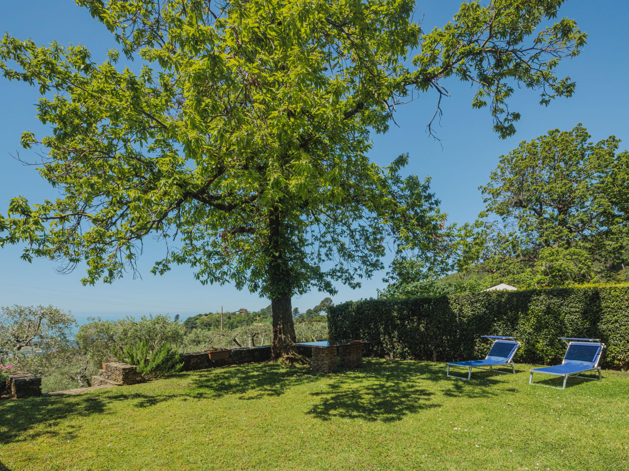 Photo 28 - Maison de 1 chambre à Montignoso avec jardin et terrasse
