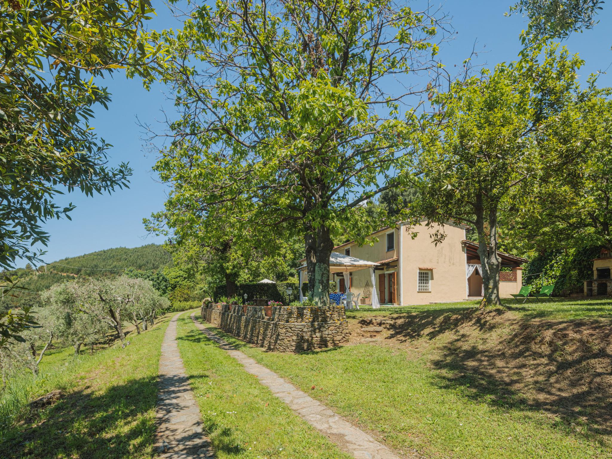 Photo 21 - 1 bedroom House in Montignoso with garden and terrace