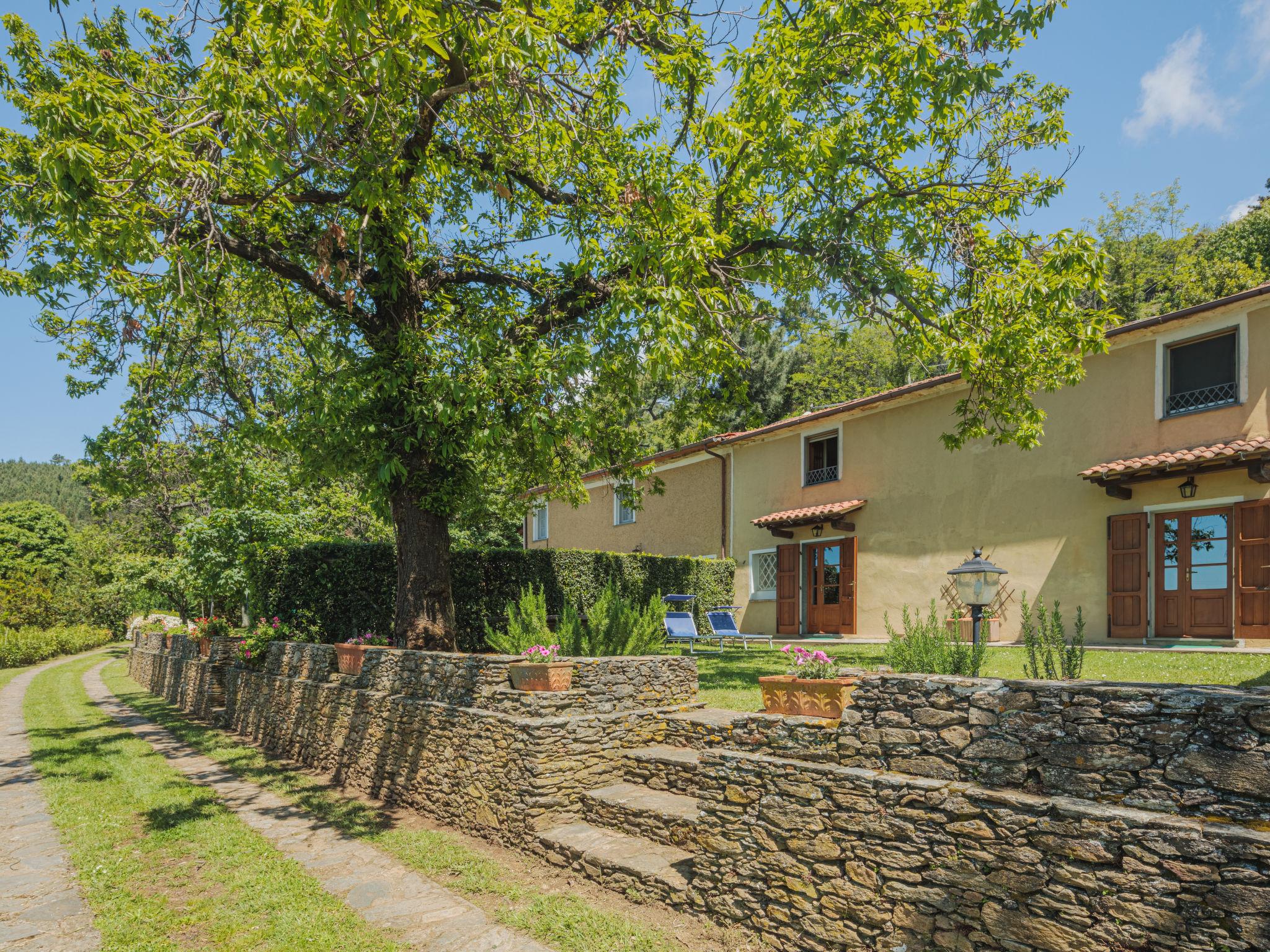 Foto 4 - Haus mit 1 Schlafzimmer in Montignoso mit garten und terrasse