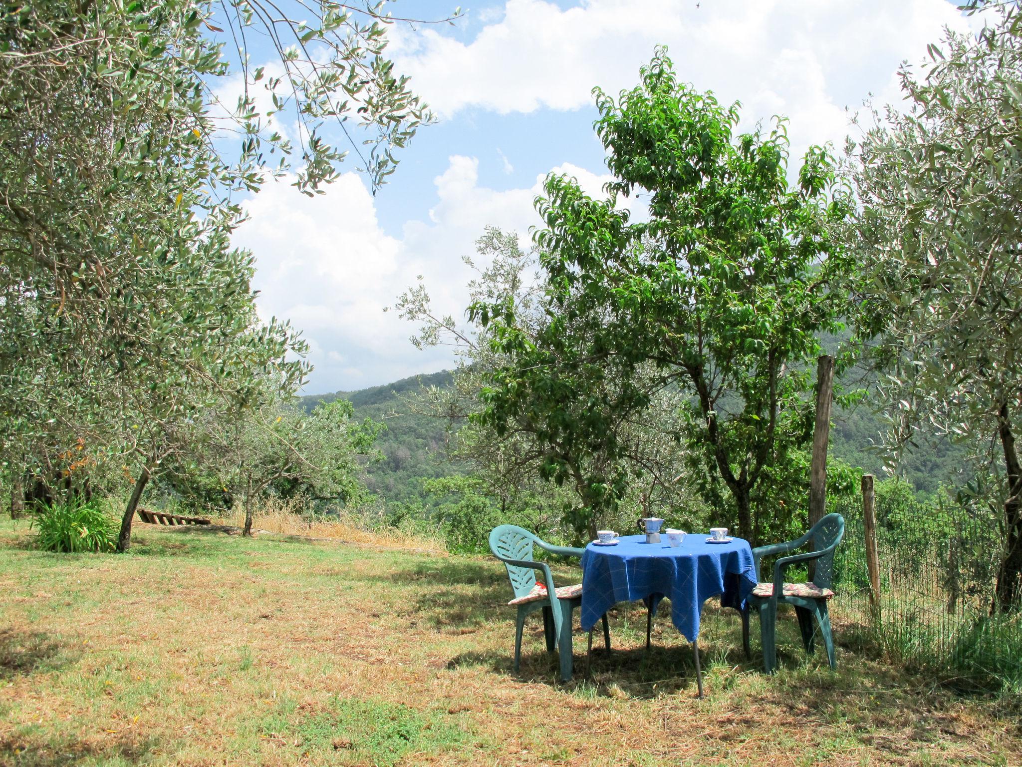 Foto 36 - Apartamento de 1 habitación en Greve in Chianti con piscina y jardín