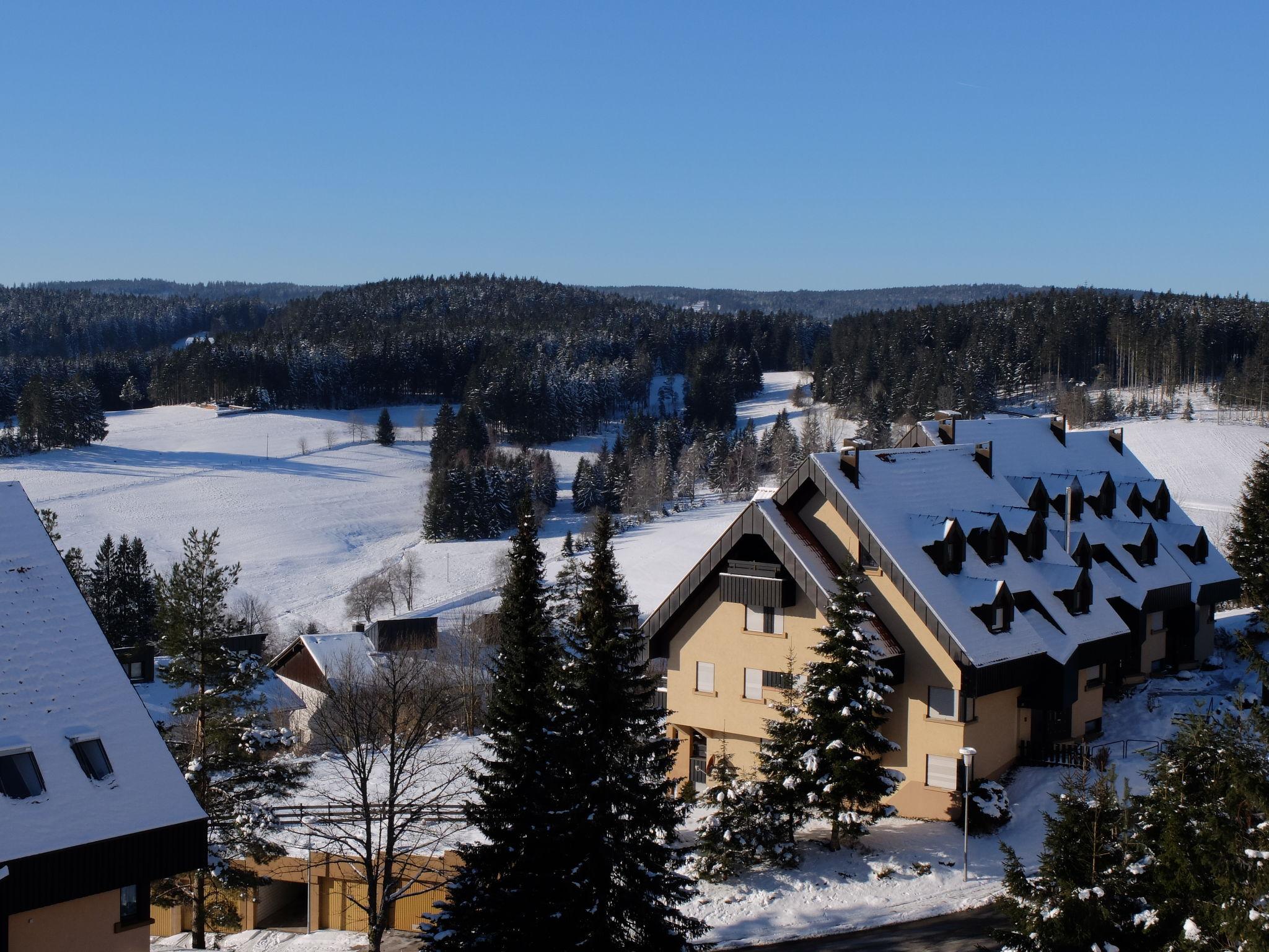 Foto 14 - Appartamento con 1 camera da letto a Schonach im Schwarzwald con vista sulle montagne