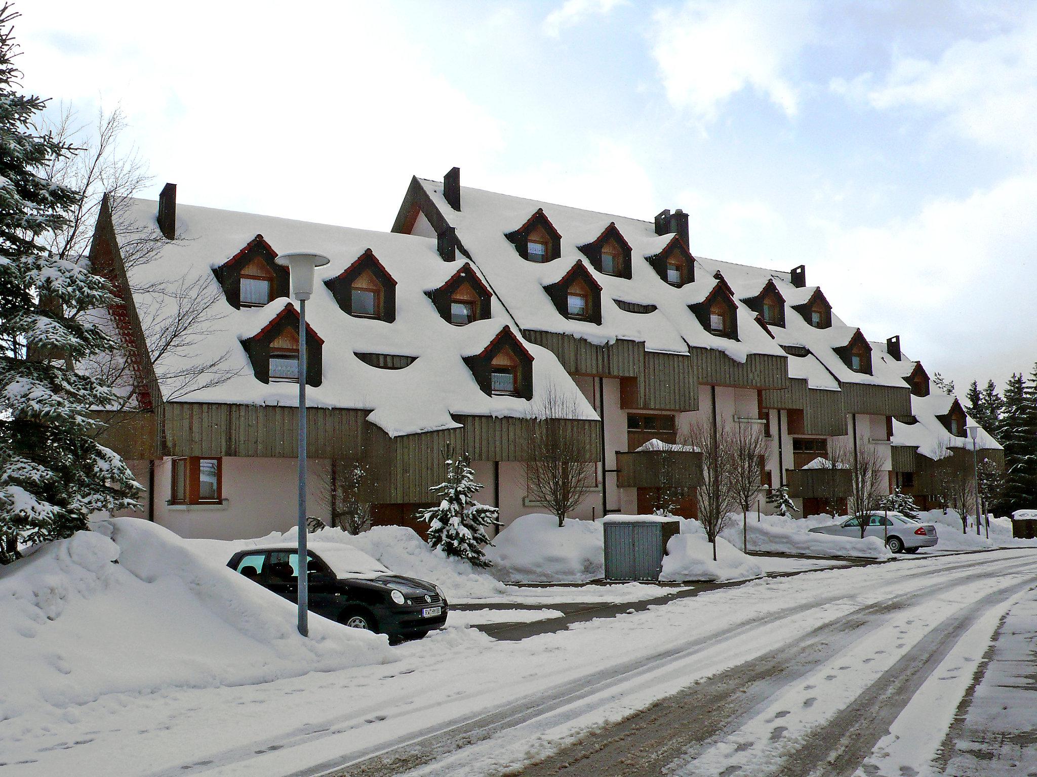 Foto 8 - Apartment mit 1 Schlafzimmer in Schonach im Schwarzwald mit blick auf die berge