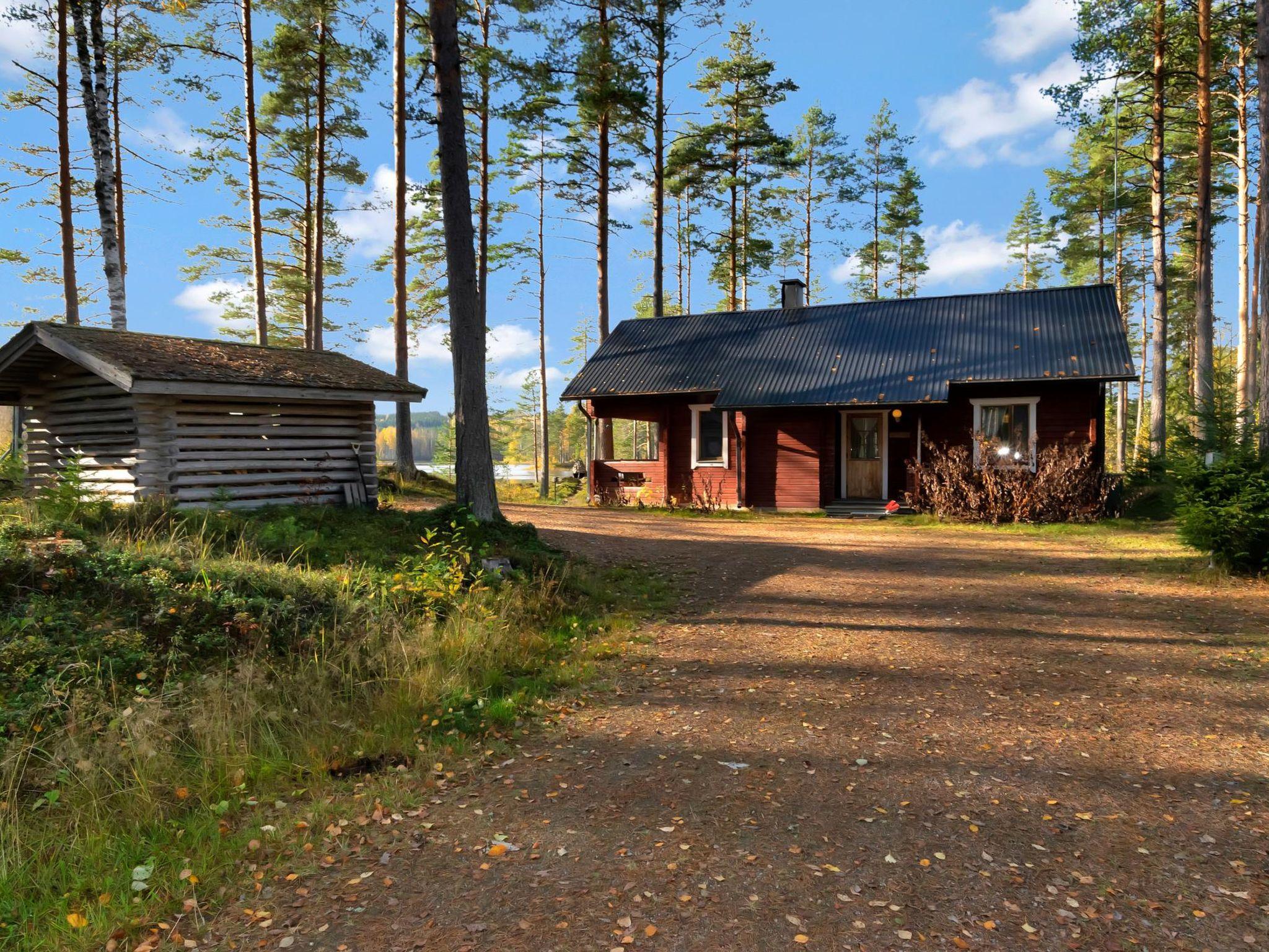Foto 1 - Casa de 2 habitaciones en Petäjävesi con sauna
