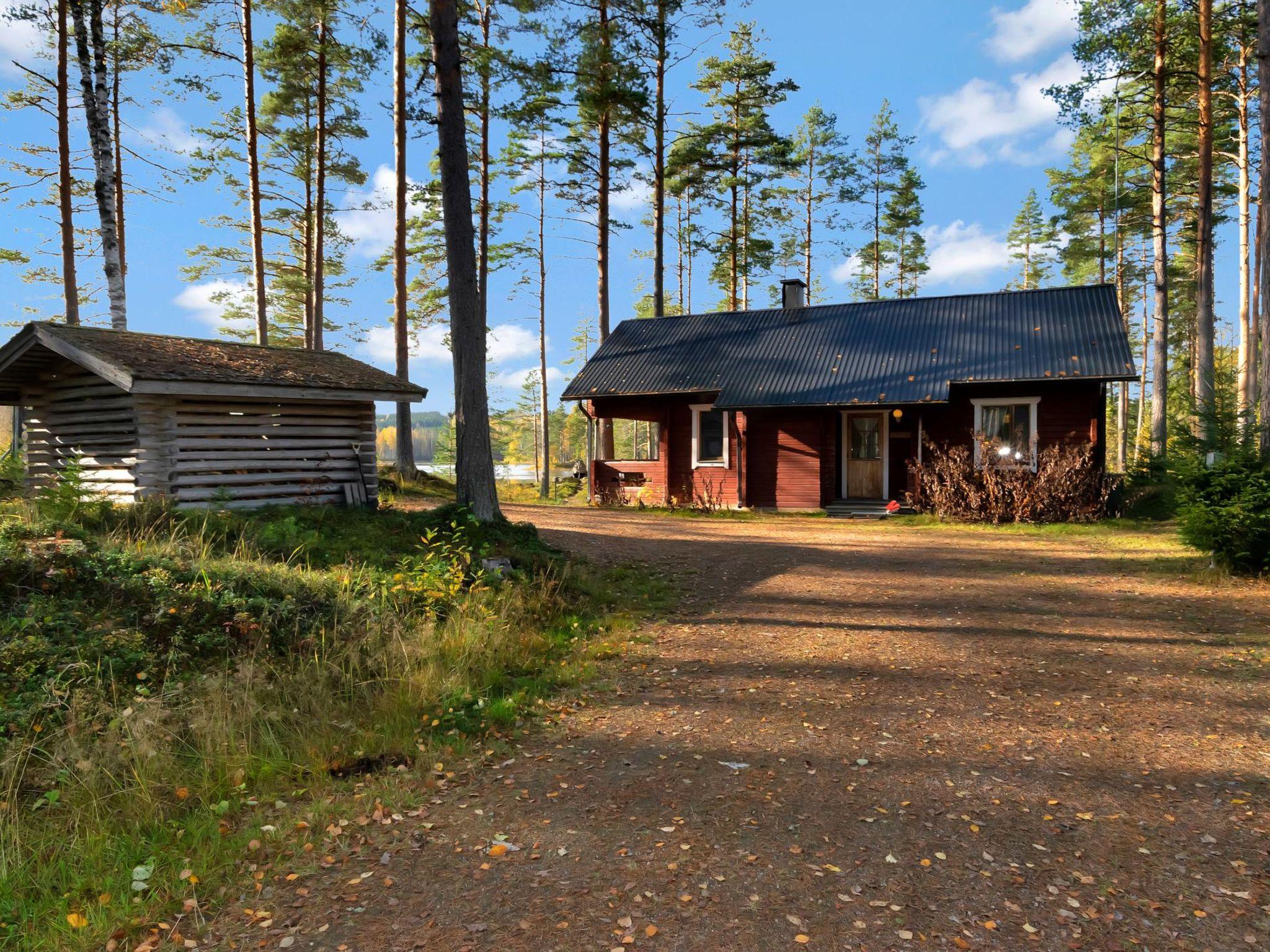 Photo 1 - Maison de 2 chambres à Petäjävesi avec sauna