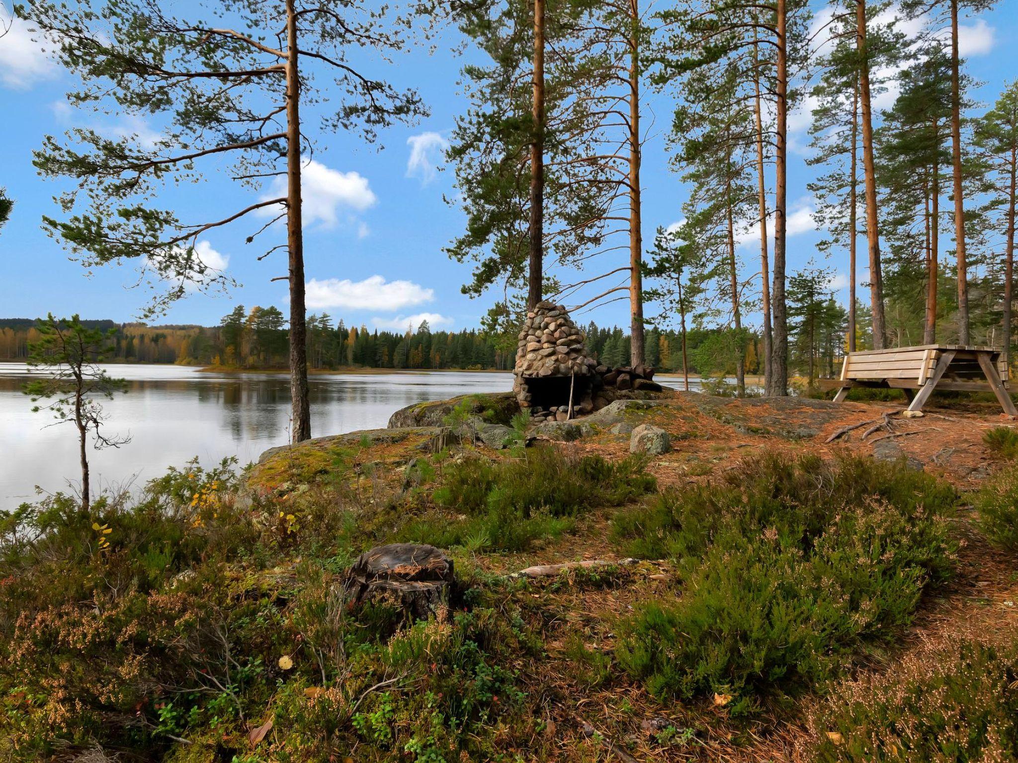 Foto 18 - Casa con 2 camere da letto a Petäjävesi con sauna