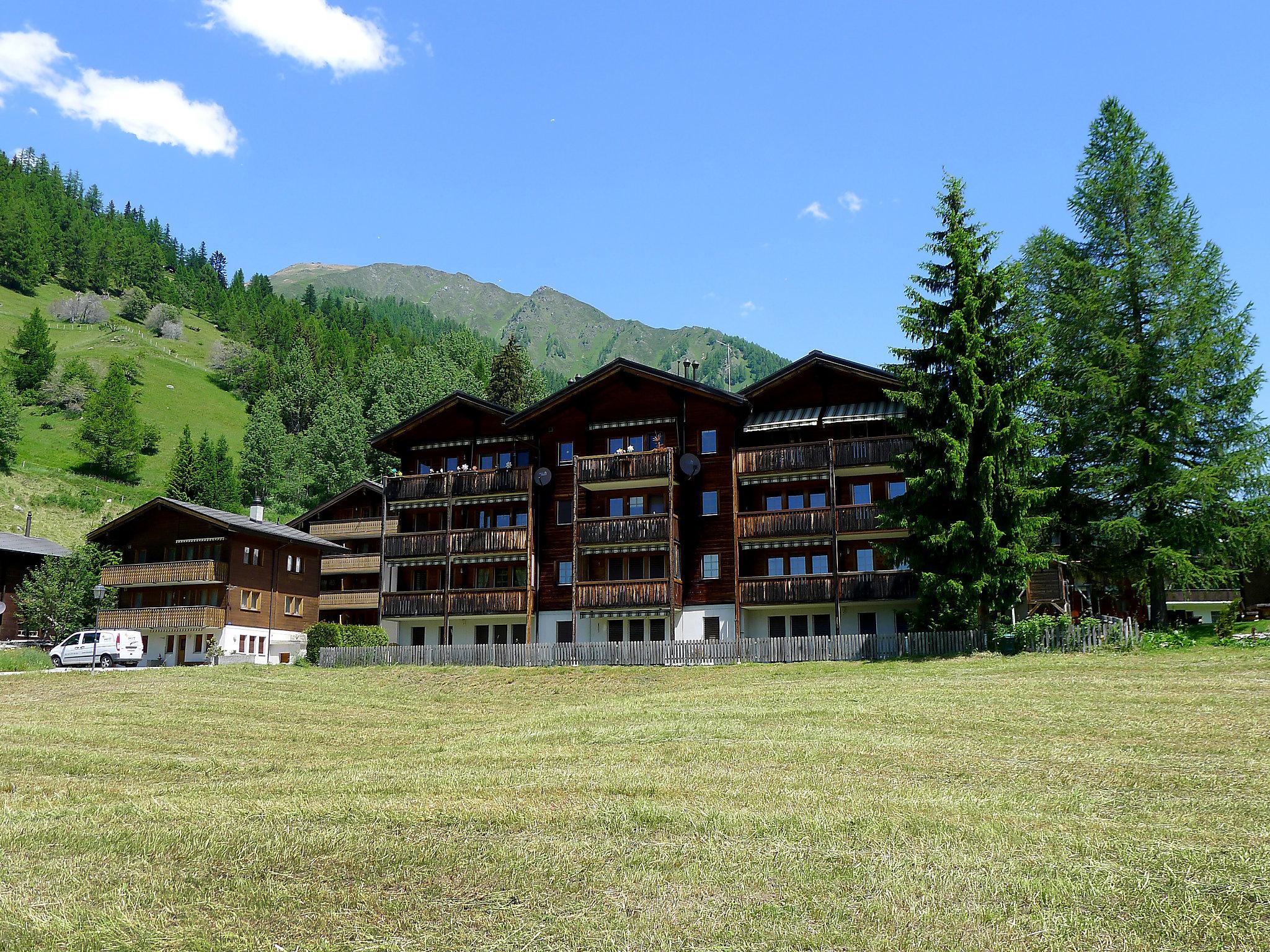 Photo 1 - Appartement de 1 chambre à Goms avec jardin et vues sur la montagne