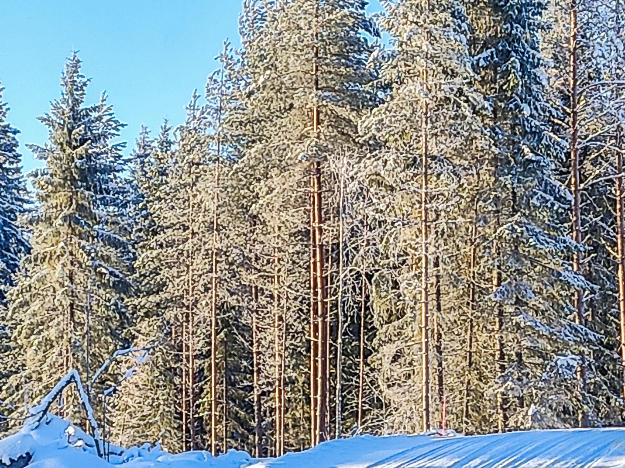 Foto 32 - Haus mit 3 Schlafzimmern in Hämeenlinna mit sauna