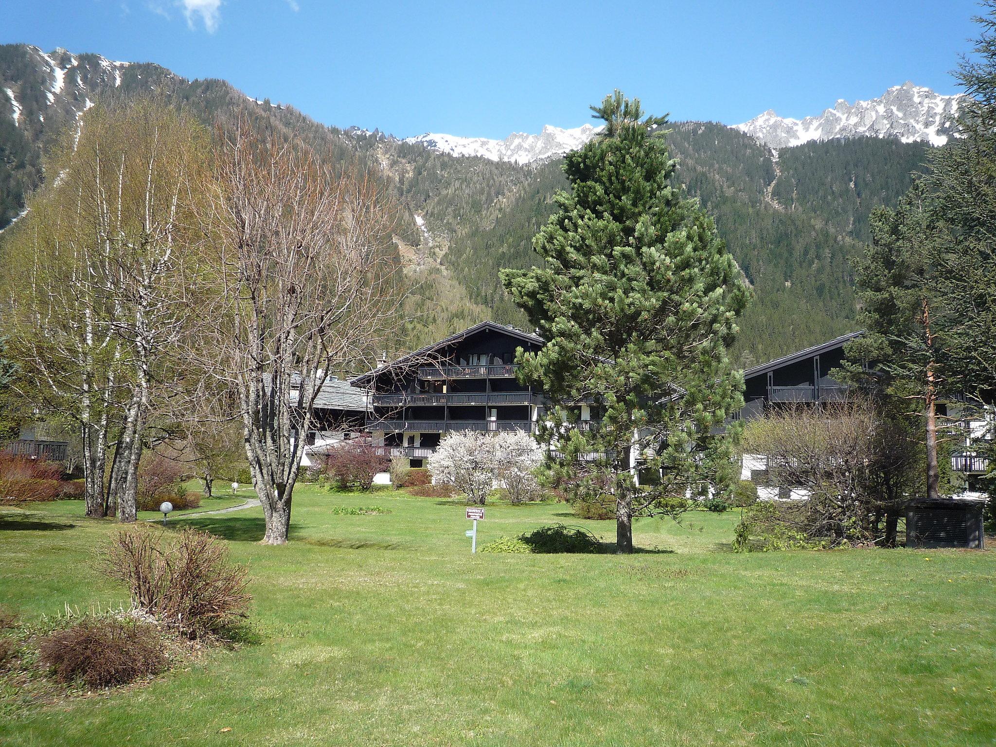 Foto 13 - Appartamento con 1 camera da letto a Chamonix-Mont-Blanc con vista sulle montagne