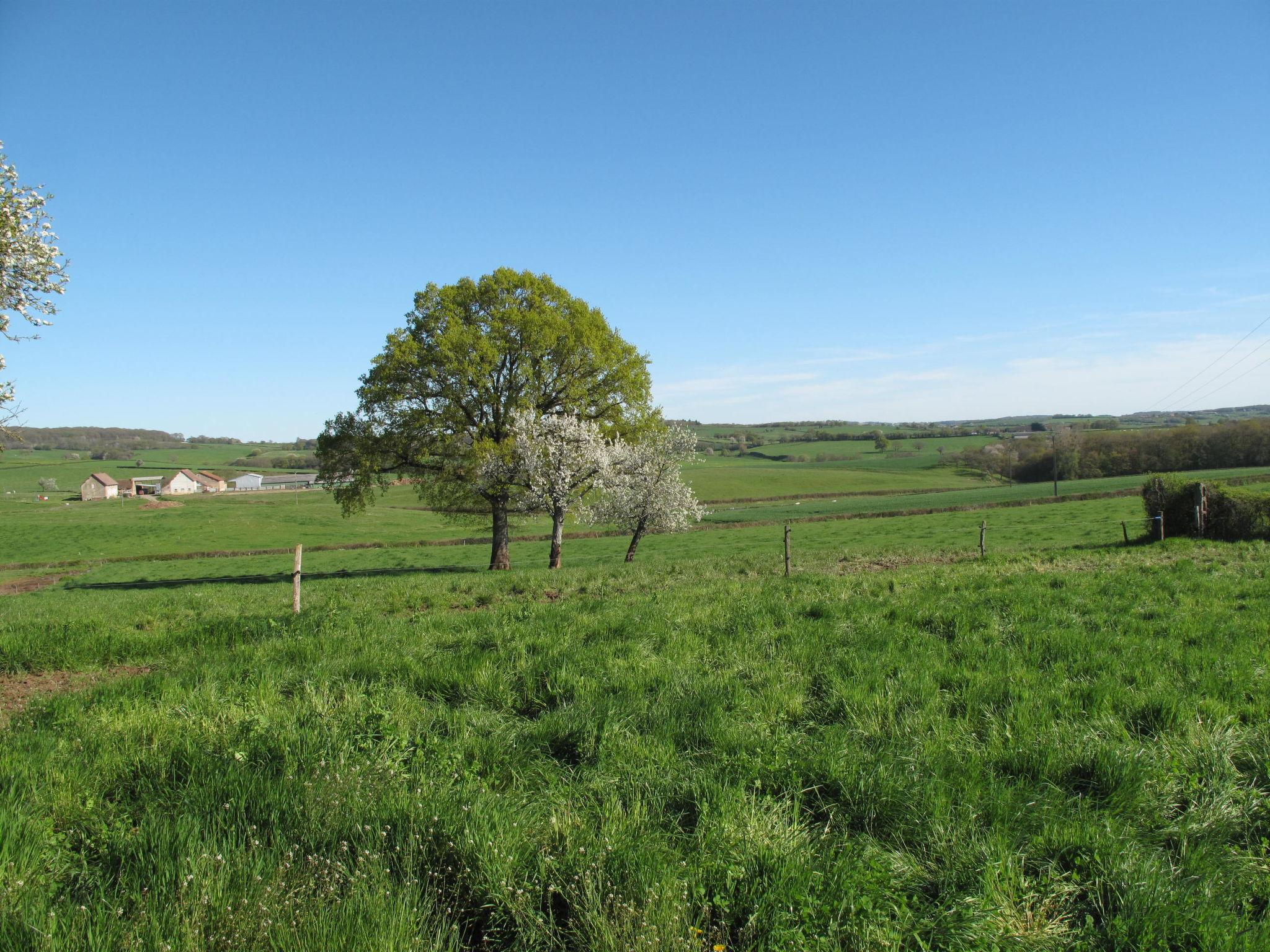 Photo 22 - 3 bedroom House in Ternant with private pool and garden