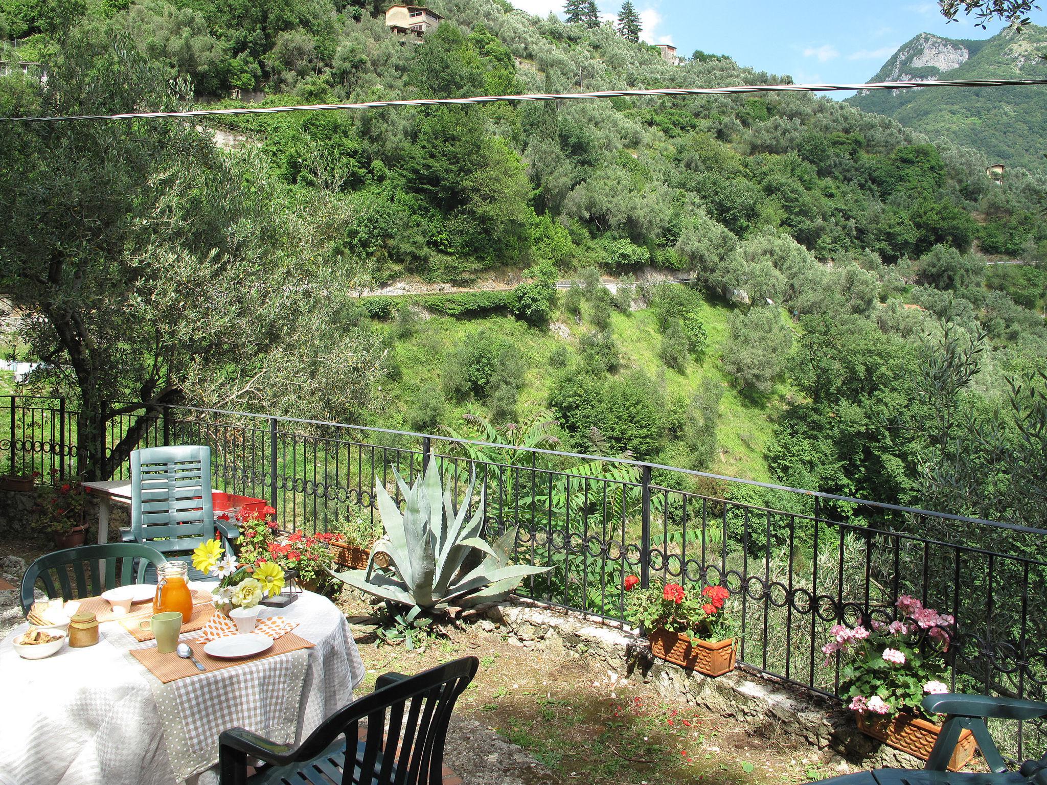 Photo 28 - Maison de 2 chambres à Camaiore avec jardin et terrasse