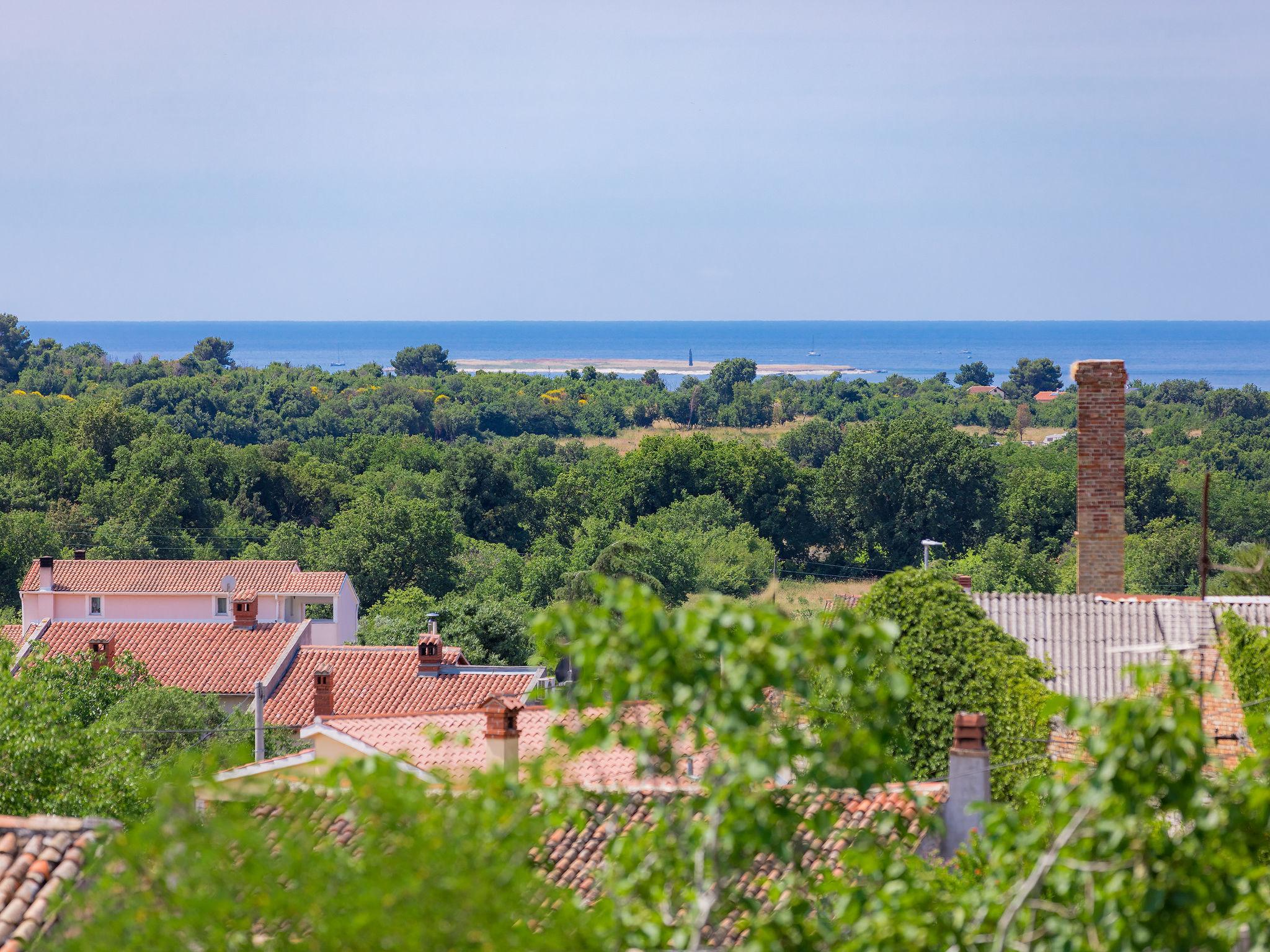 Foto 8 - Haus mit 3 Schlafzimmern in Ližnjan mit privater pool und blick aufs meer