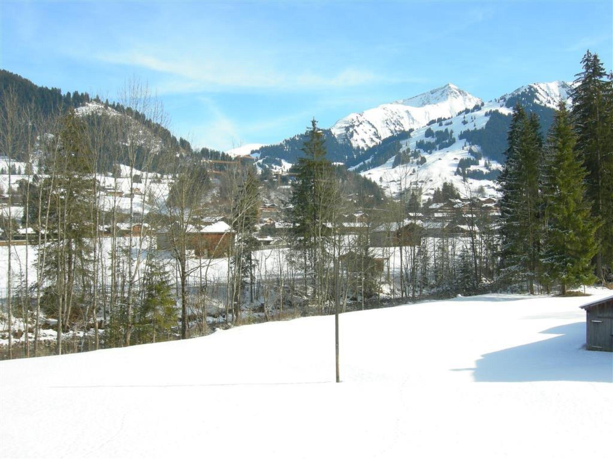 Photo 3 - 1 bedroom Apartment in Saanen