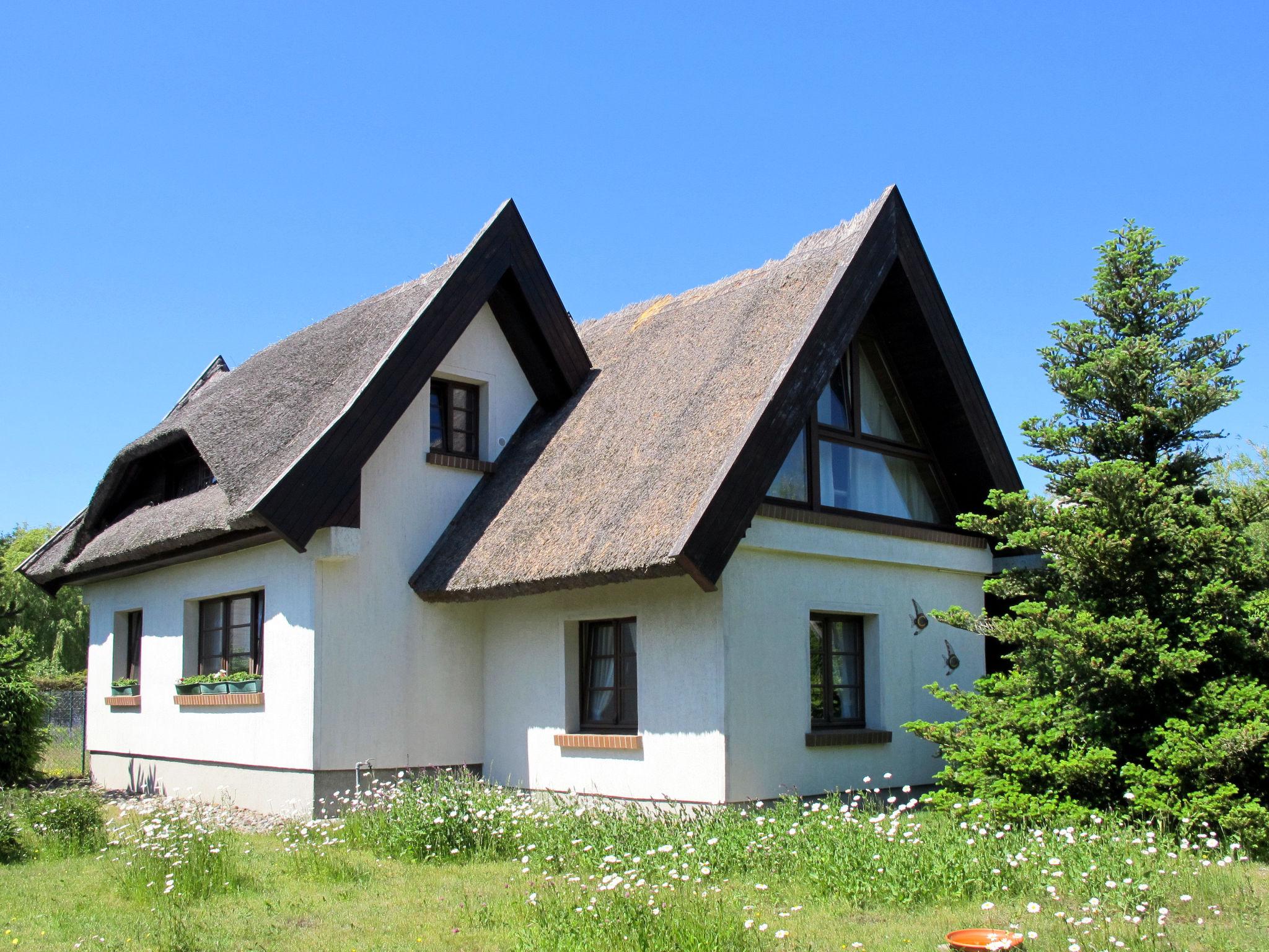 Foto 6 - Haus mit 2 Schlafzimmern in Mesekenhagen mit garten und blick aufs meer