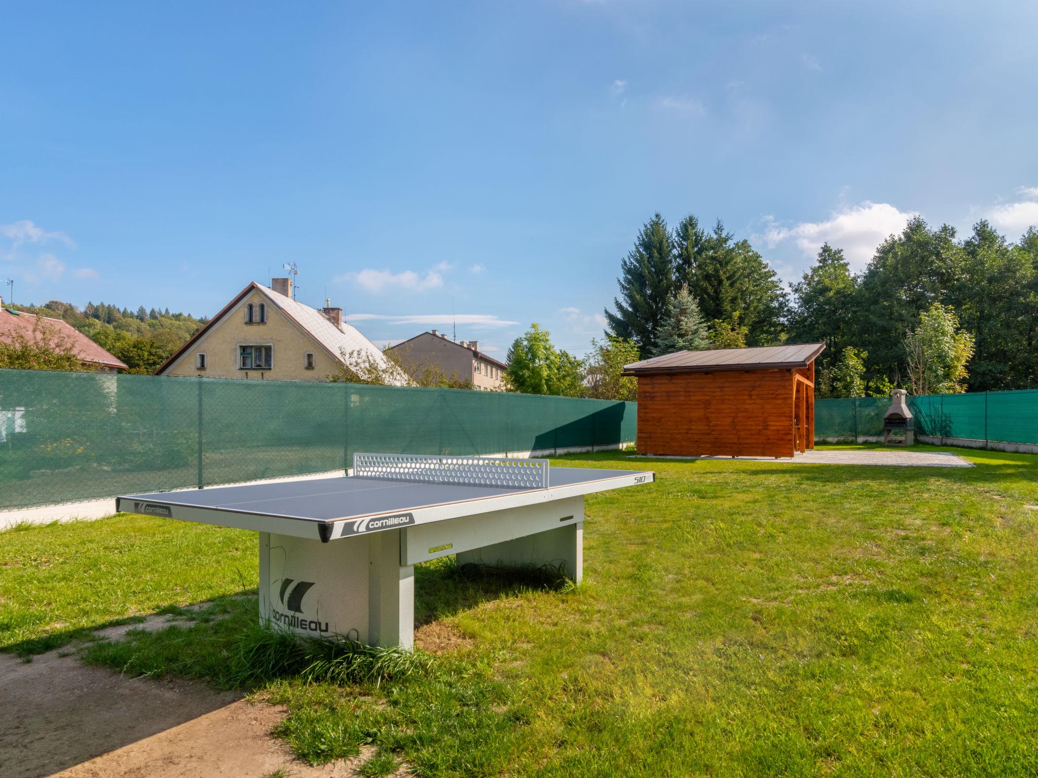 Foto 39 - Casa de 5 habitaciones en Olešnice v Orlických horách con piscina privada y jardín