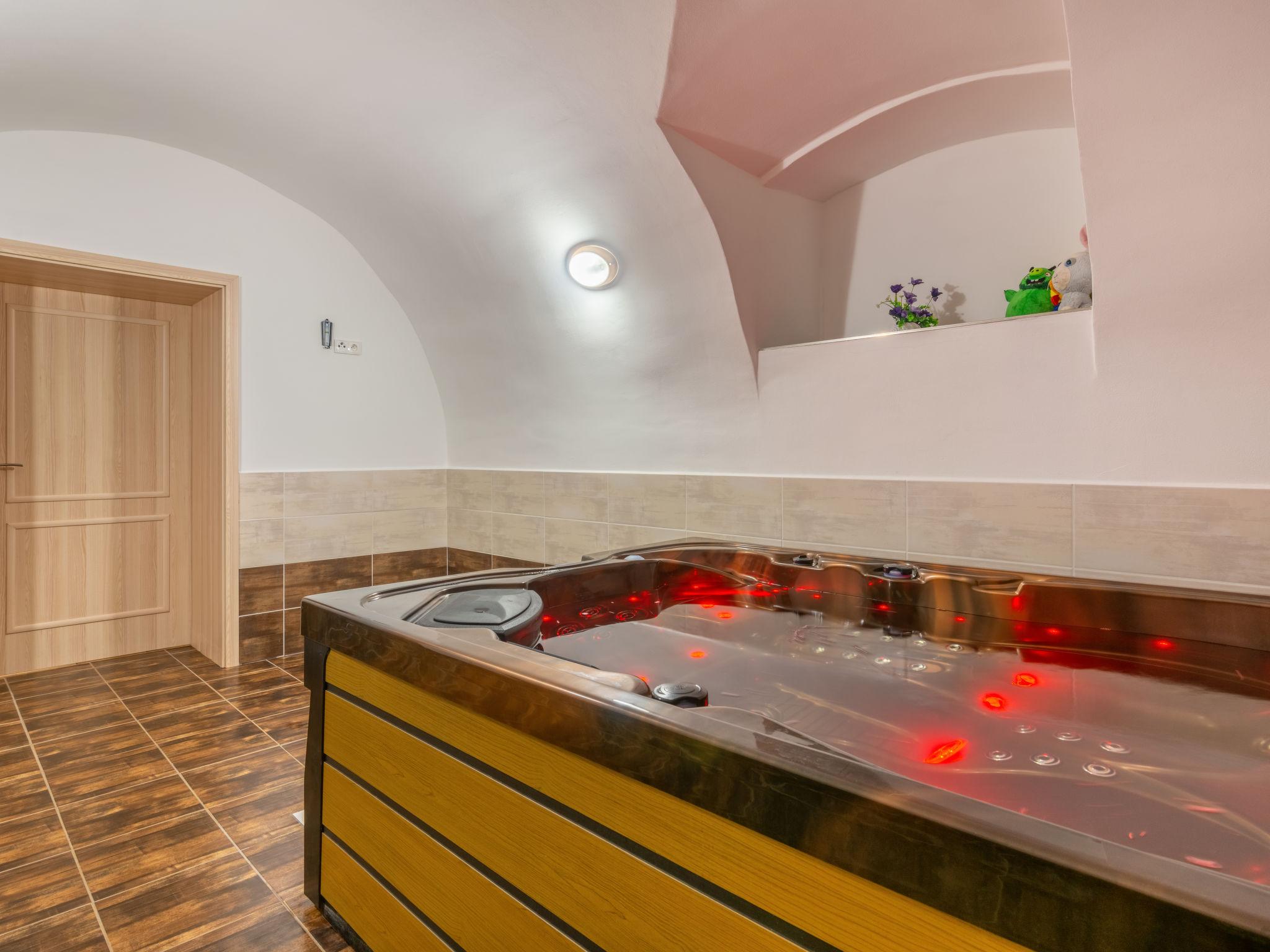 Foto 12 - Casa con 5 camere da letto a Olešnice v Orlických horách con piscina privata e giardino