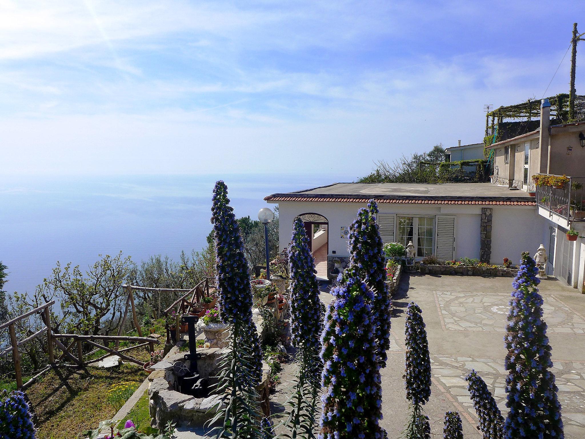 Foto 50 - Casa con 3 camere da letto a Massa Lubrense con piscina privata e vista mare