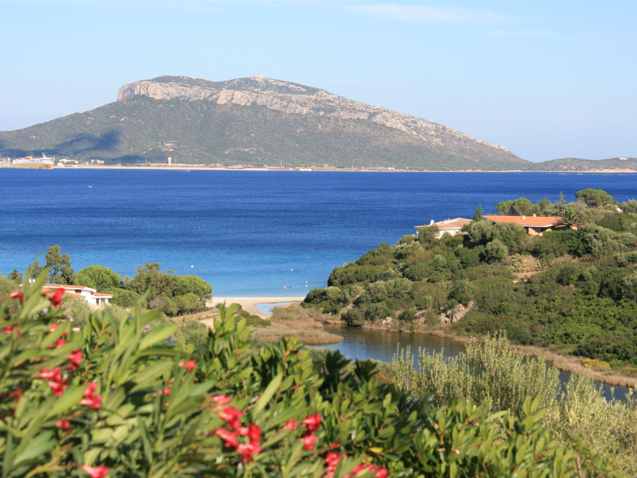 Foto 30 - Casa de 3 quartos em Golfo Aranci com piscina privada e vistas do mar