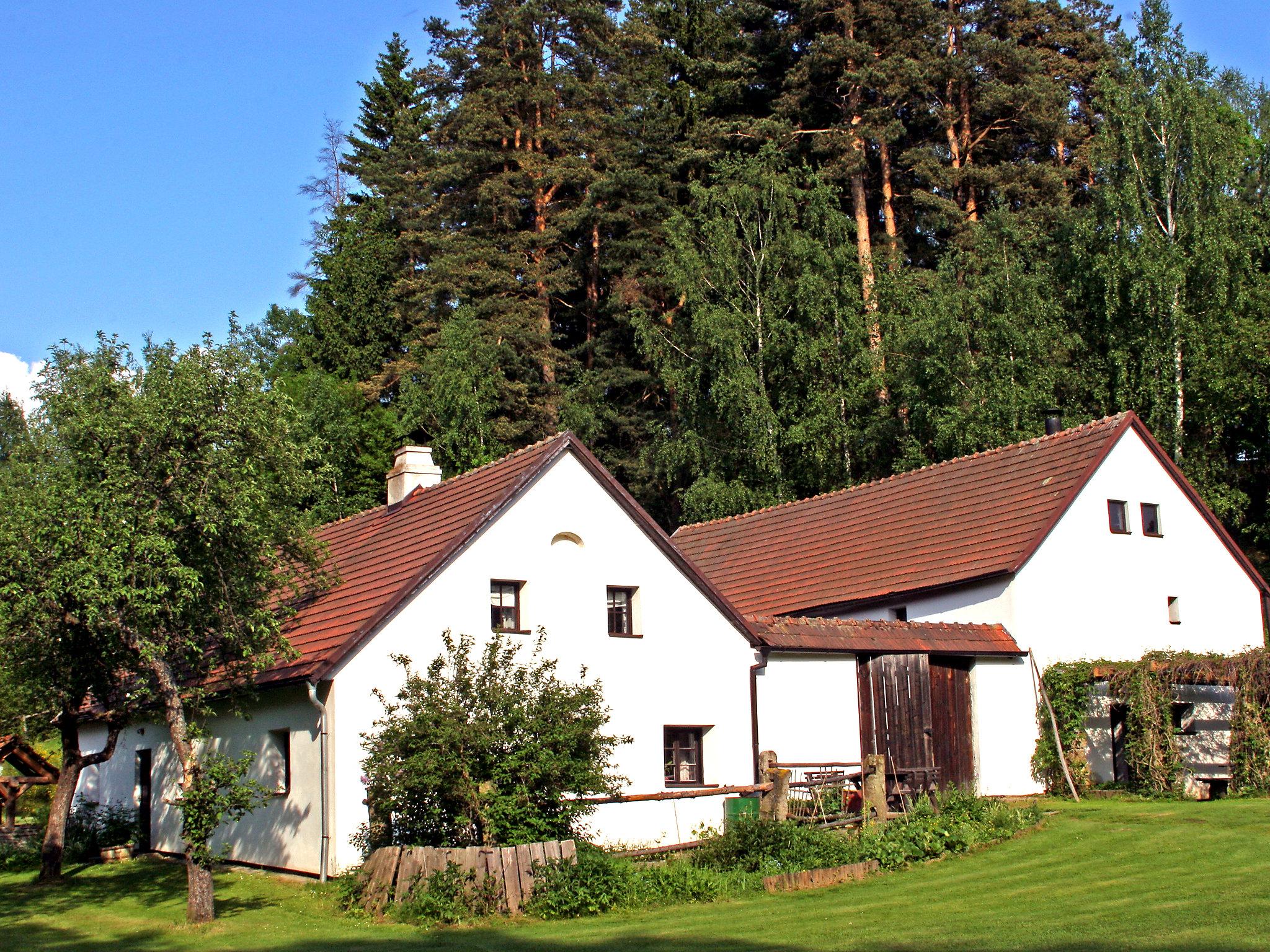 Foto 20 - Casa de 5 habitaciones en Benešov nad Černou con piscina privada y jardín