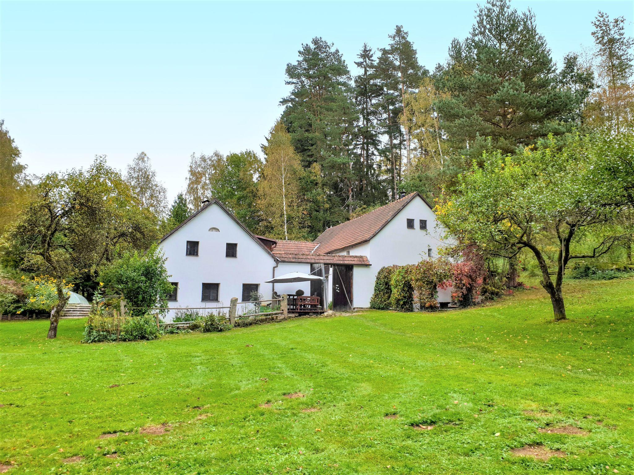 Foto 21 - Casa con 5 camere da letto a Benešov nad Černou con piscina privata e giardino