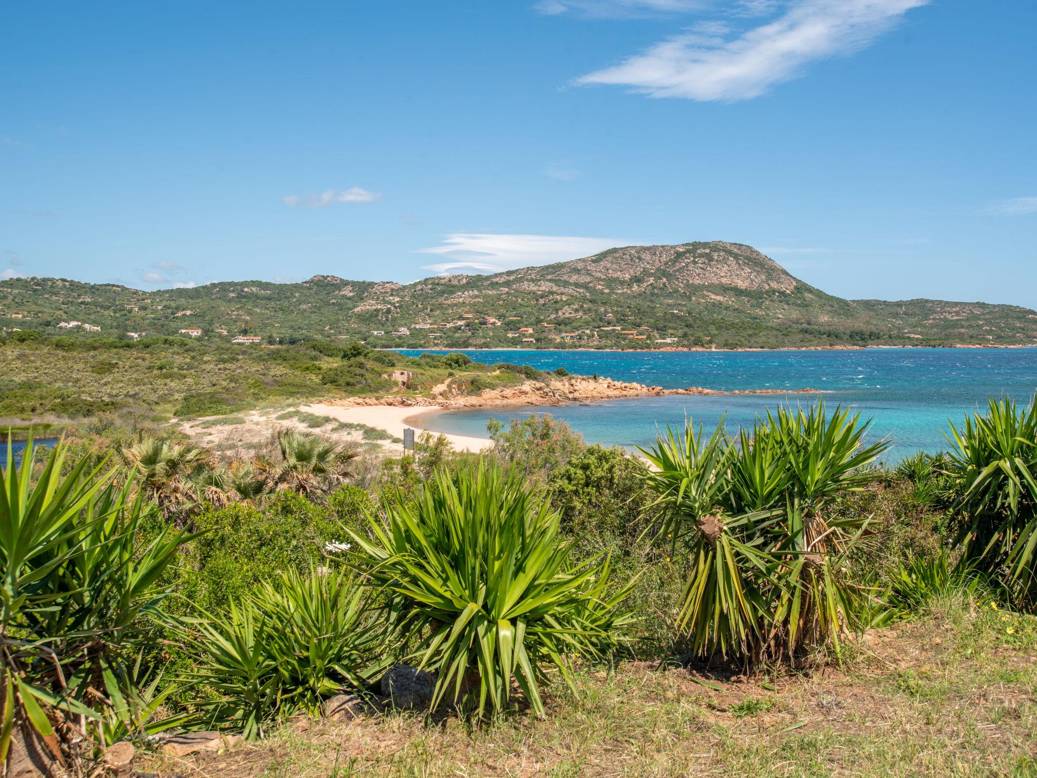 Photo 24 - Maison de 3 chambres à Olbia avec vues à la mer