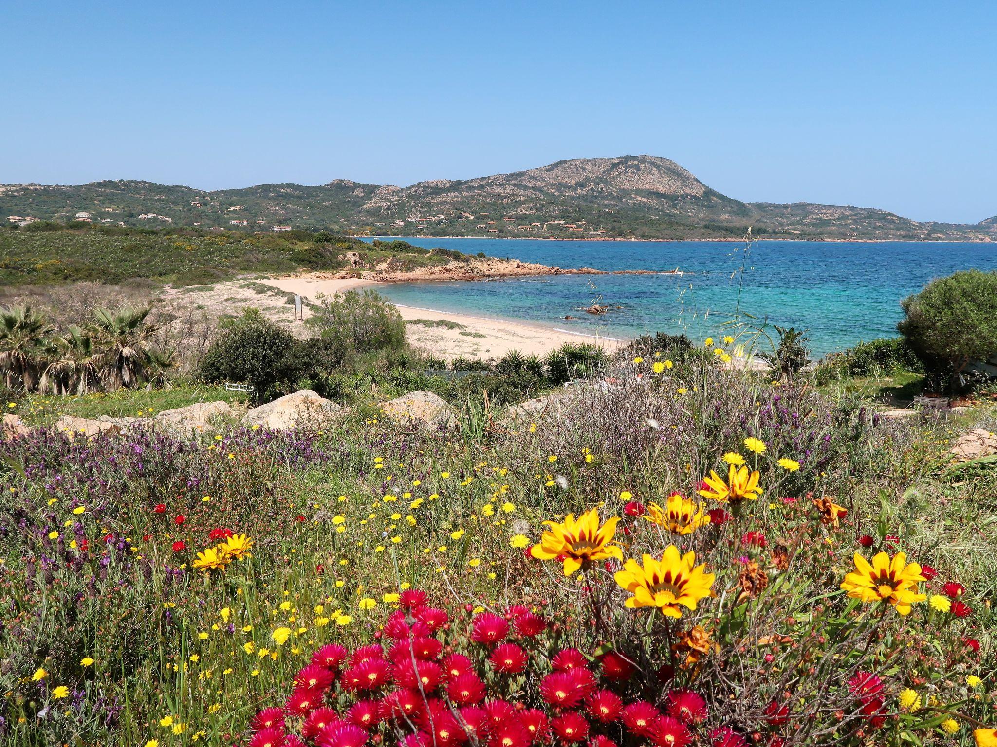 Photo 23 - Maison de 3 chambres à Olbia avec vues à la mer