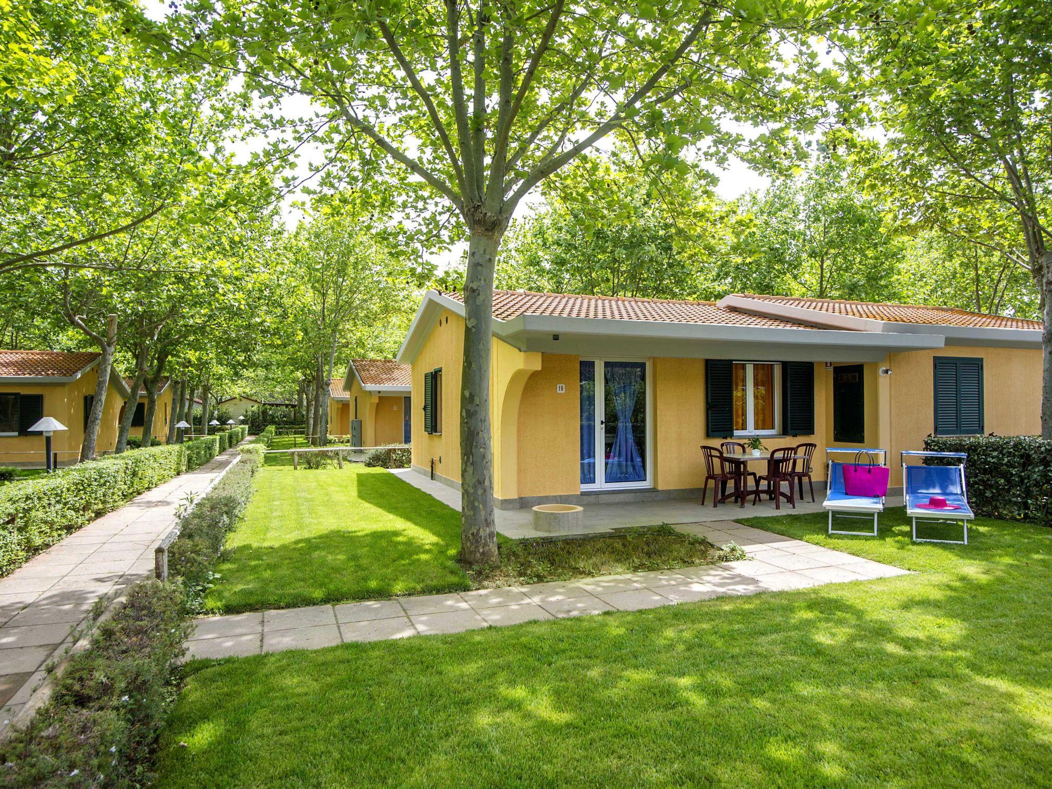 Photo 1 - Maison de 2 chambres à Castiglione della Pescaia avec piscine et jardin