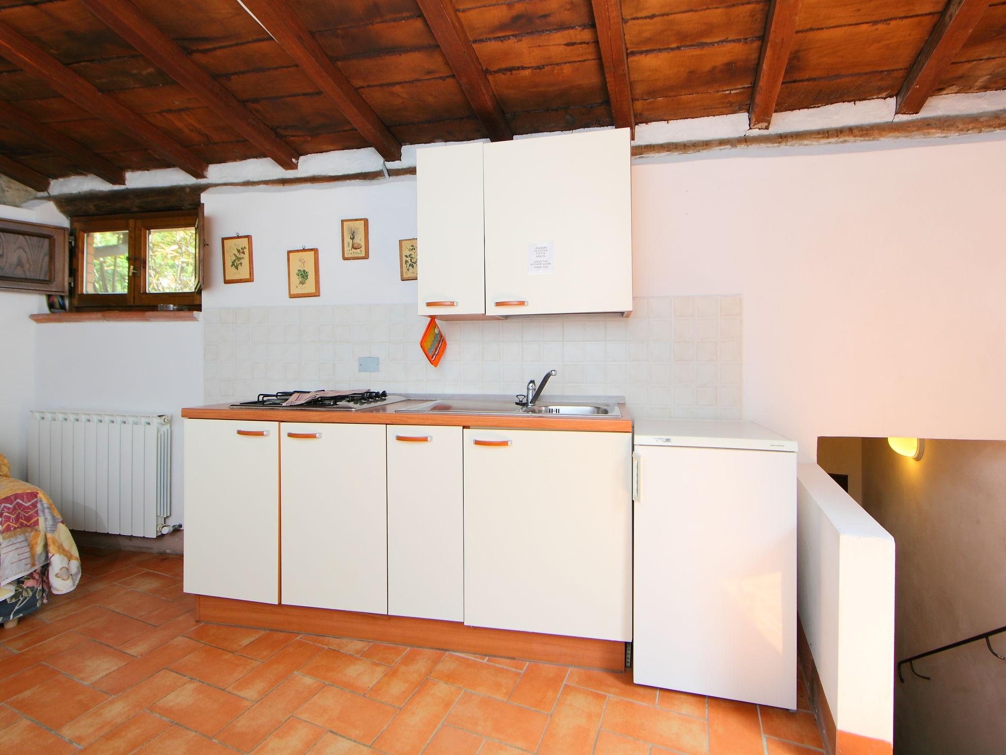 Photo 10 - 1 bedroom House in Gaiole in Chianti with swimming pool and garden