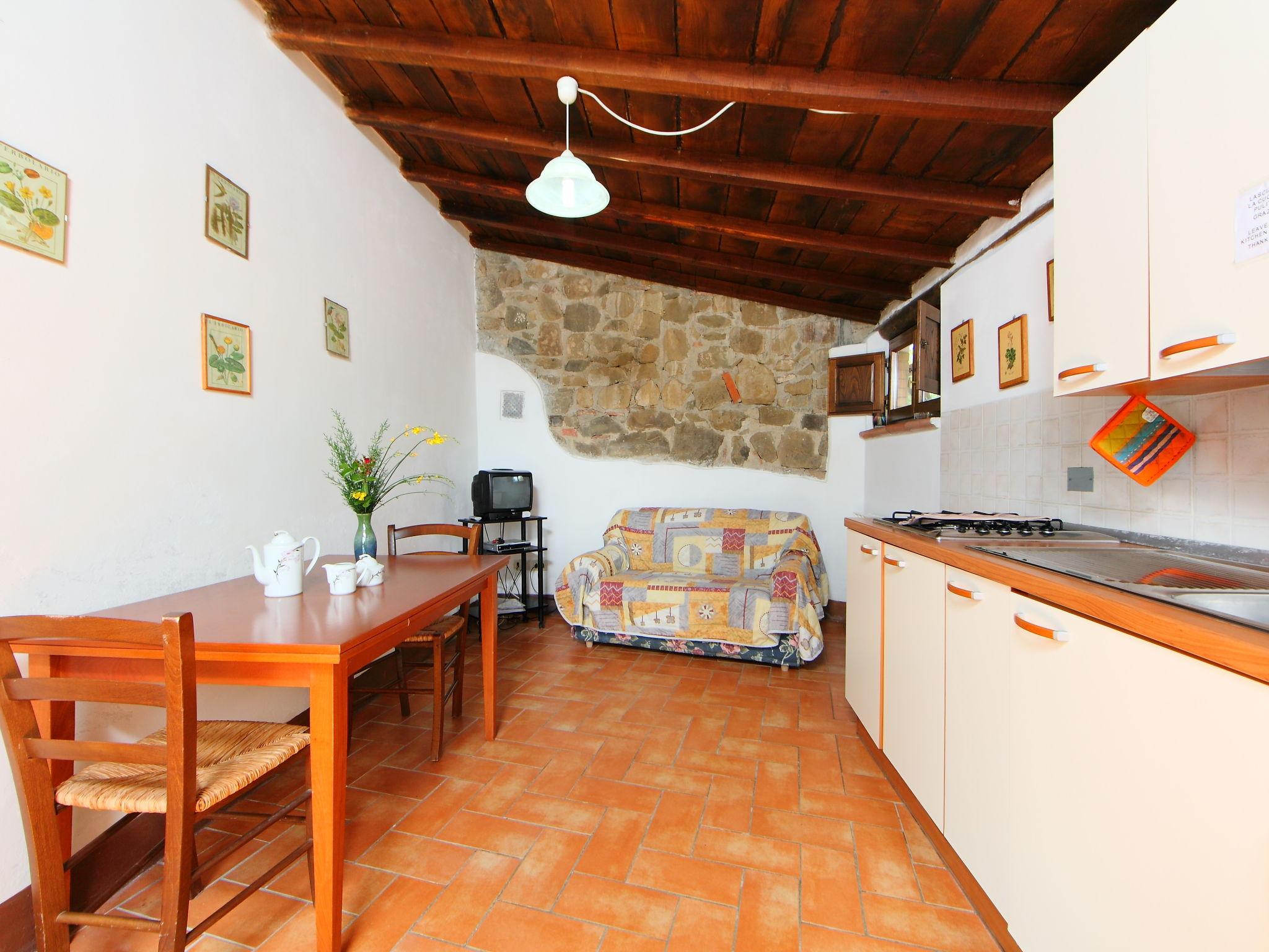 Photo 4 - 1 bedroom House in Gaiole in Chianti with swimming pool and garden