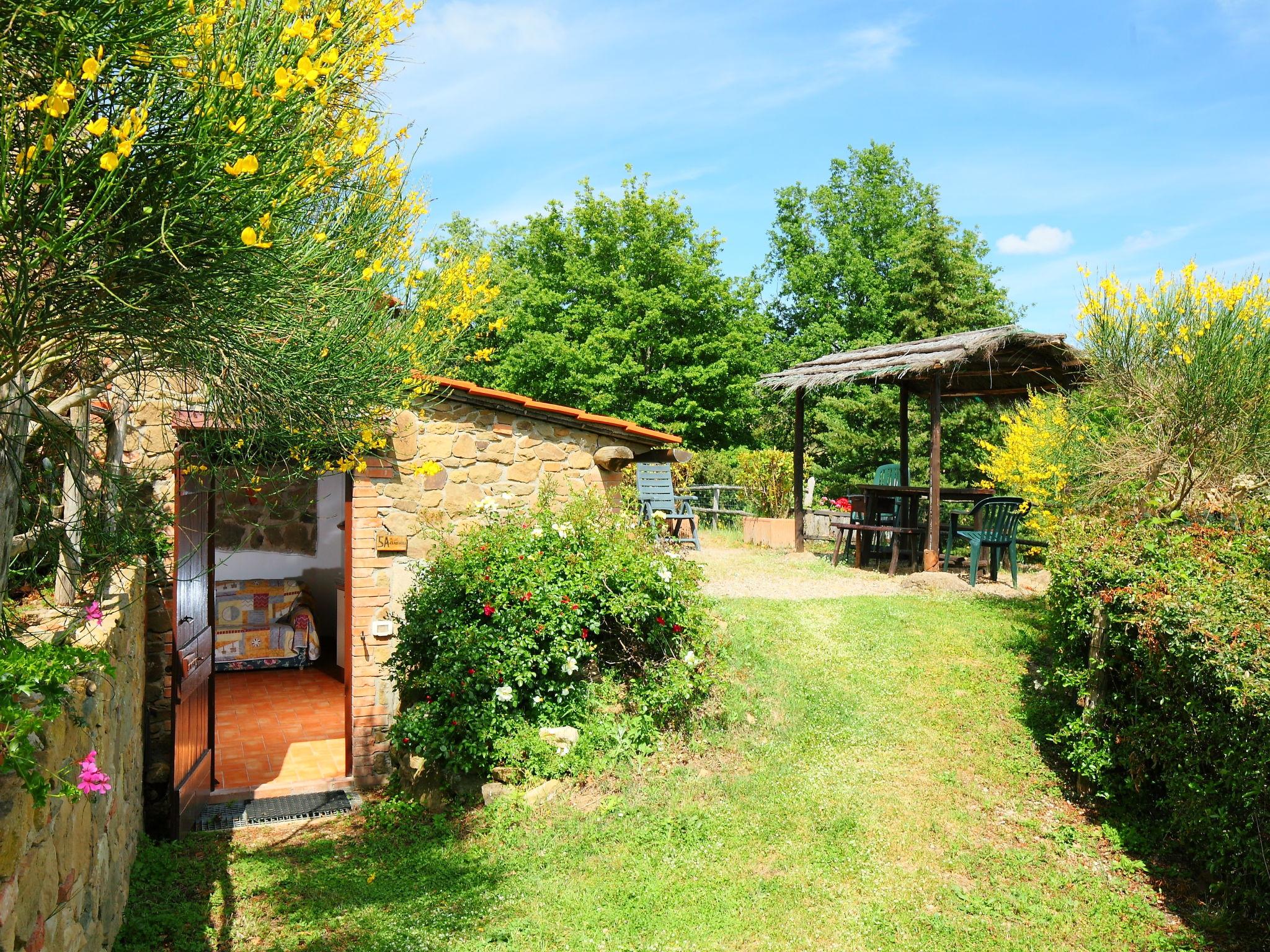 Foto 3 - Casa de 1 habitación en Gaiole in Chianti con piscina y jardín