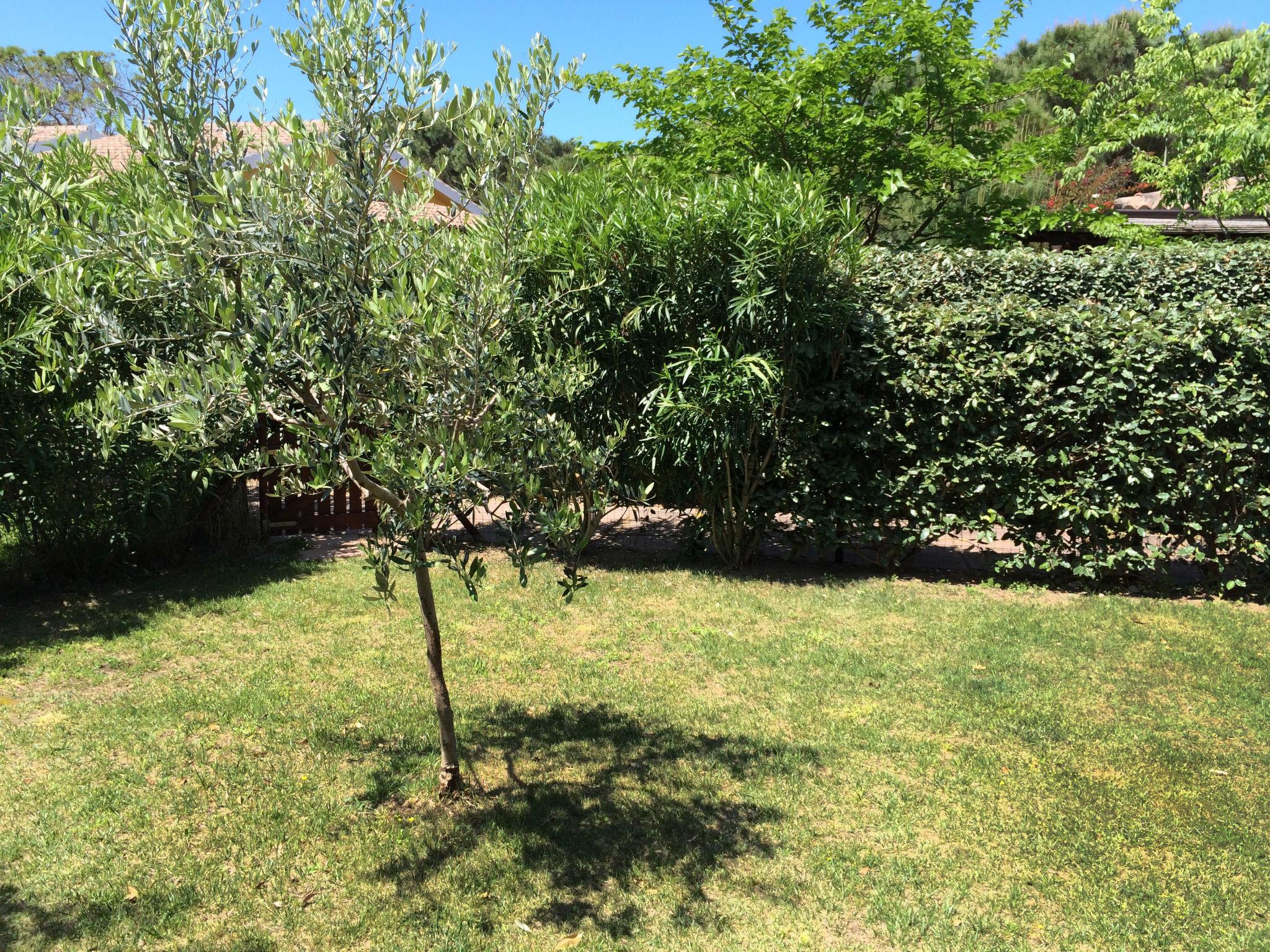 Photo 21 - Maison de 1 chambre à Valledoria avec jardin